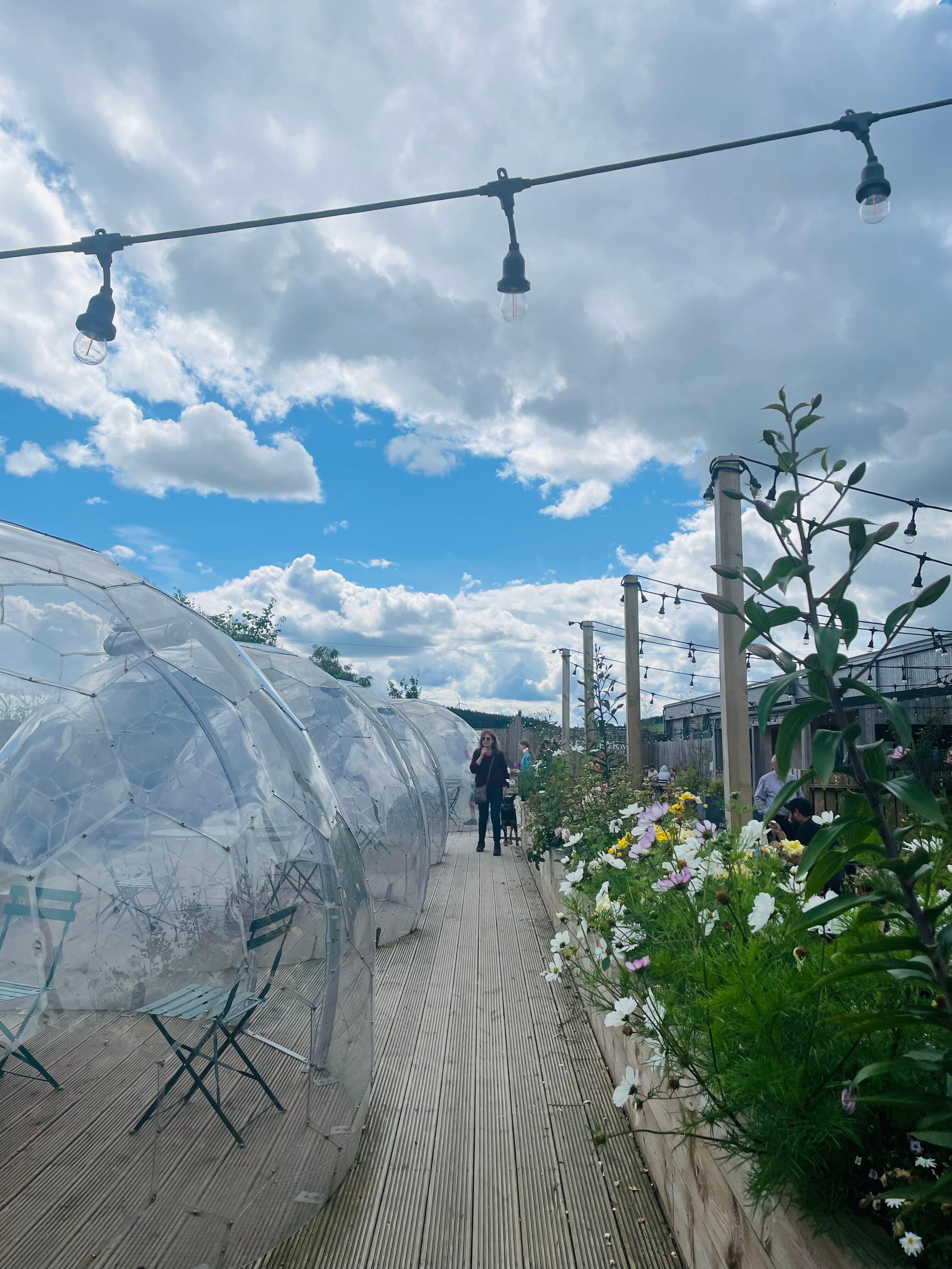 Forest Farm - The Organic Dairy