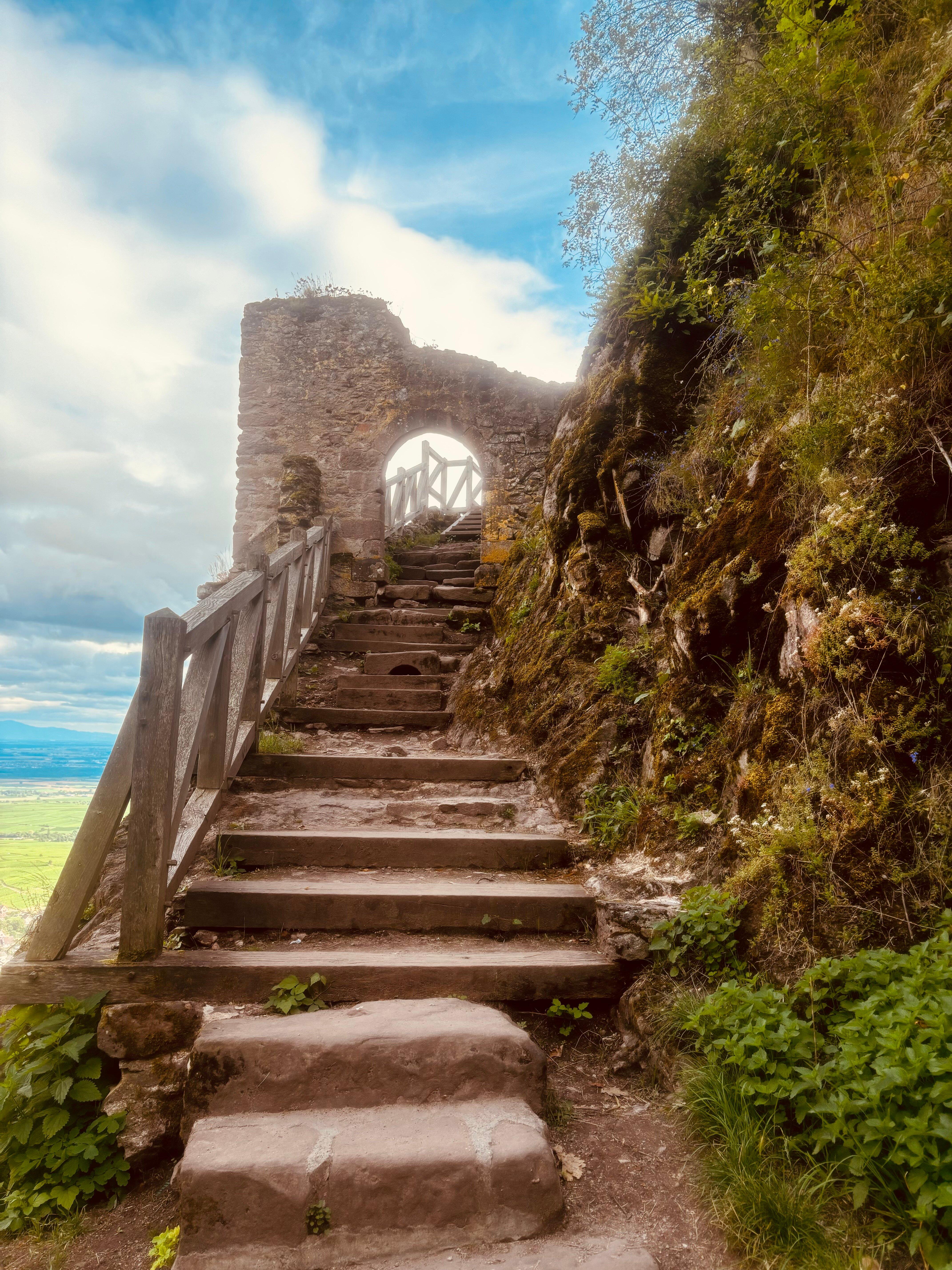 Randonnée des 3 châteaux de Ribeauvillé