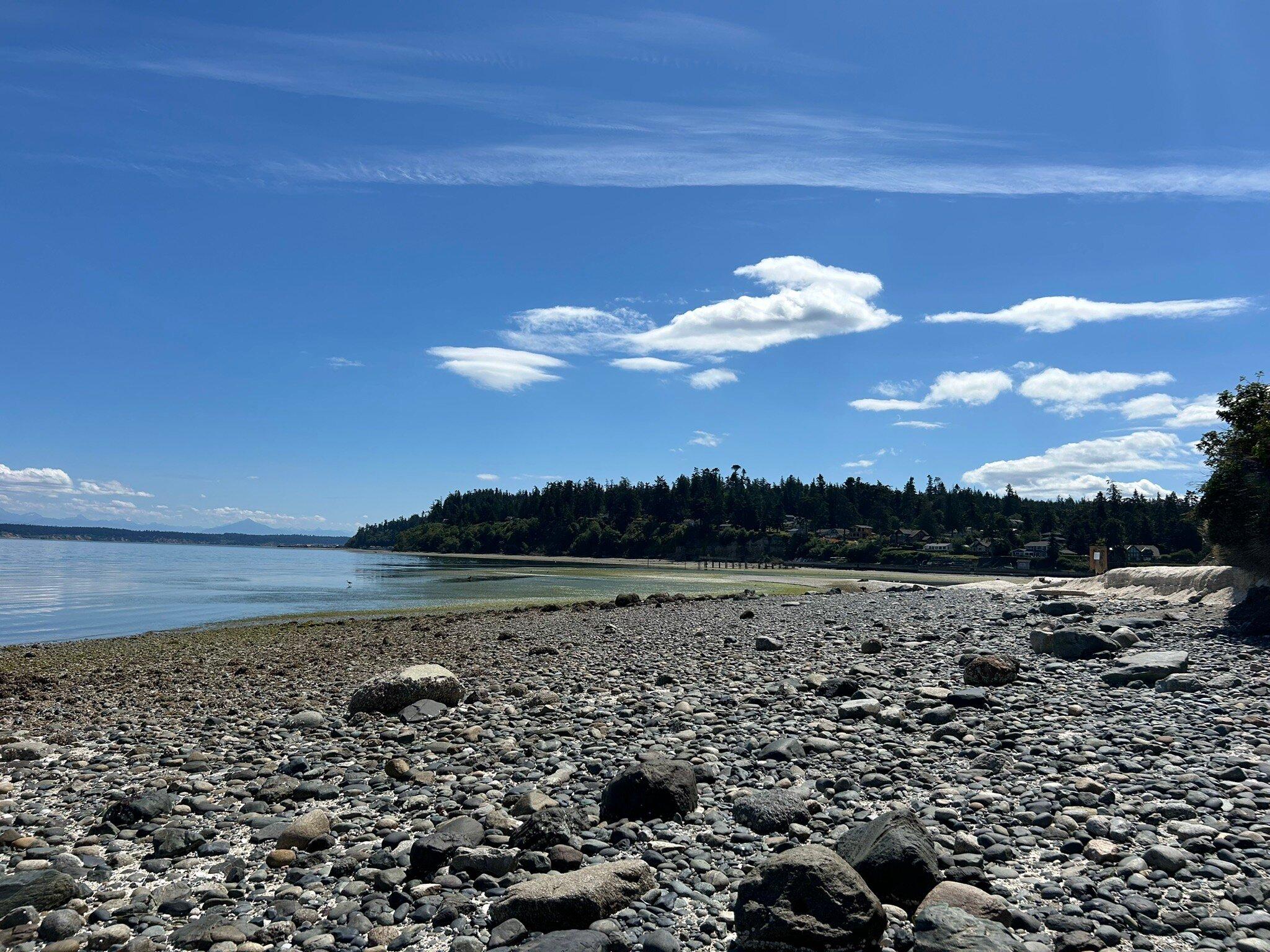 Saratoga Woods Trail