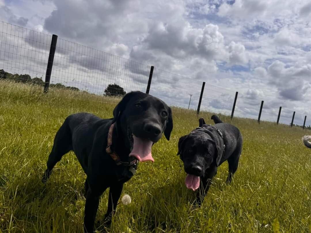 Little Clayhill Farm