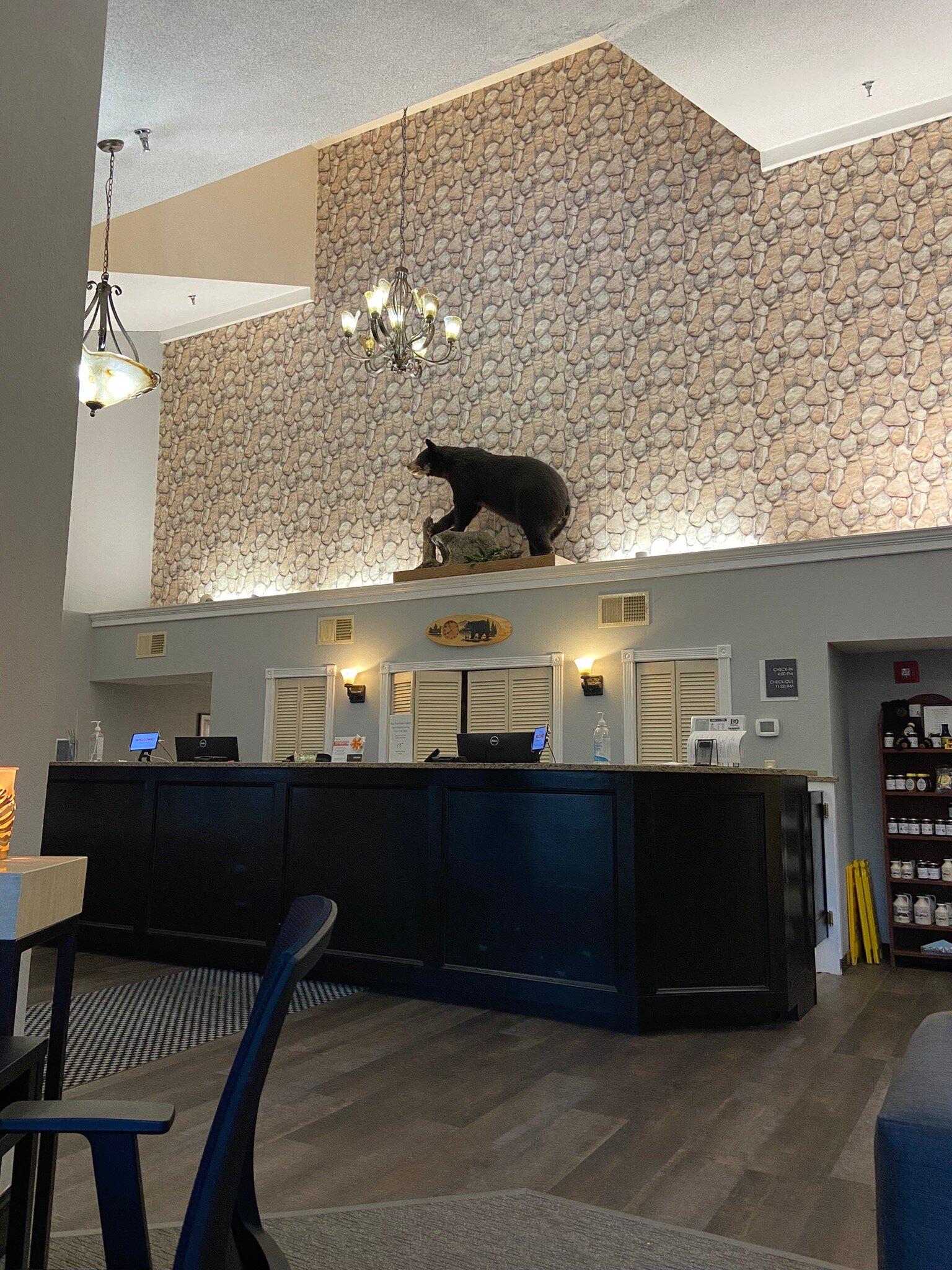 Black Bear Inn & Event Center