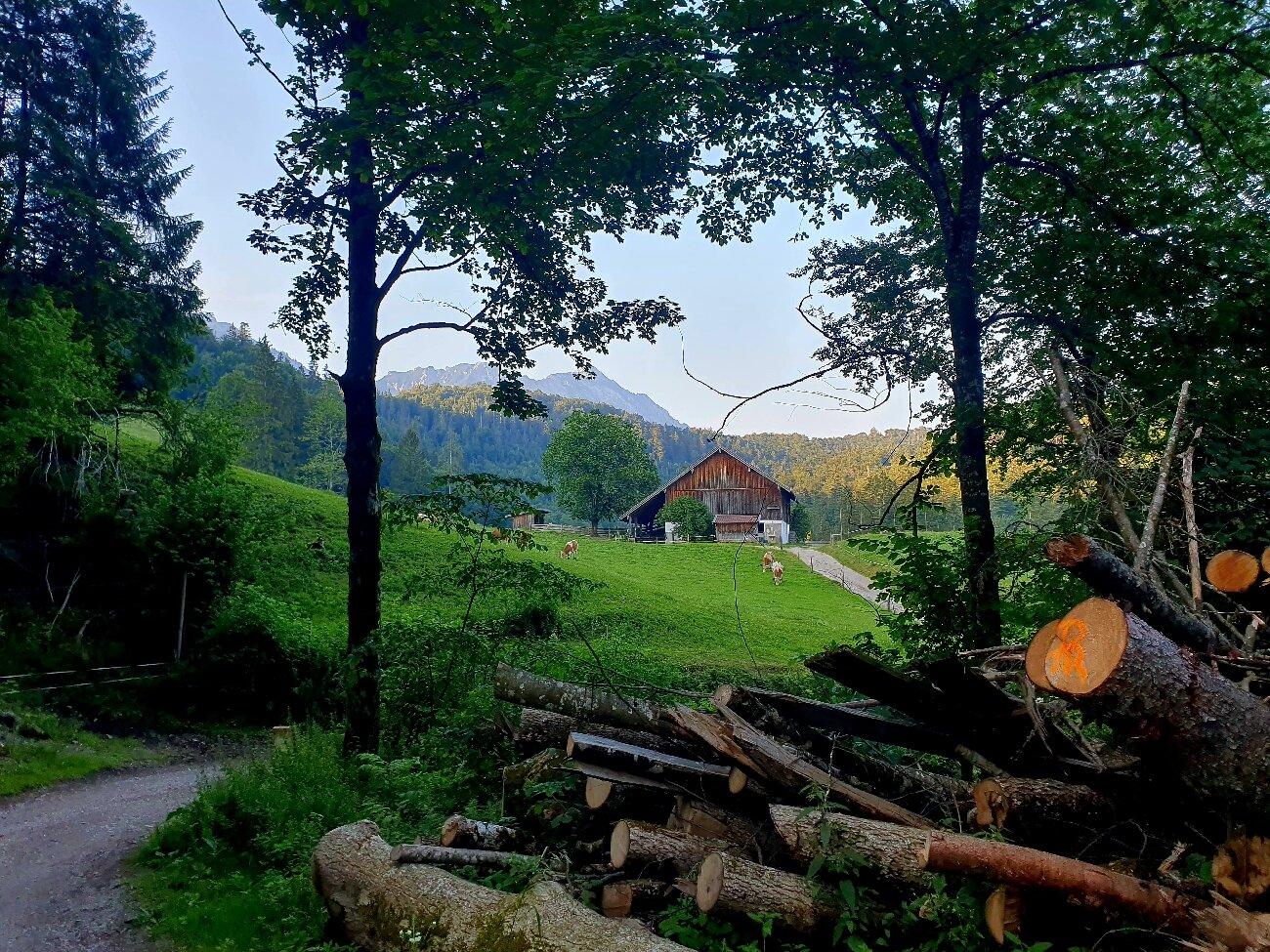 Die Höllenbachalm - Bad Reichenhall