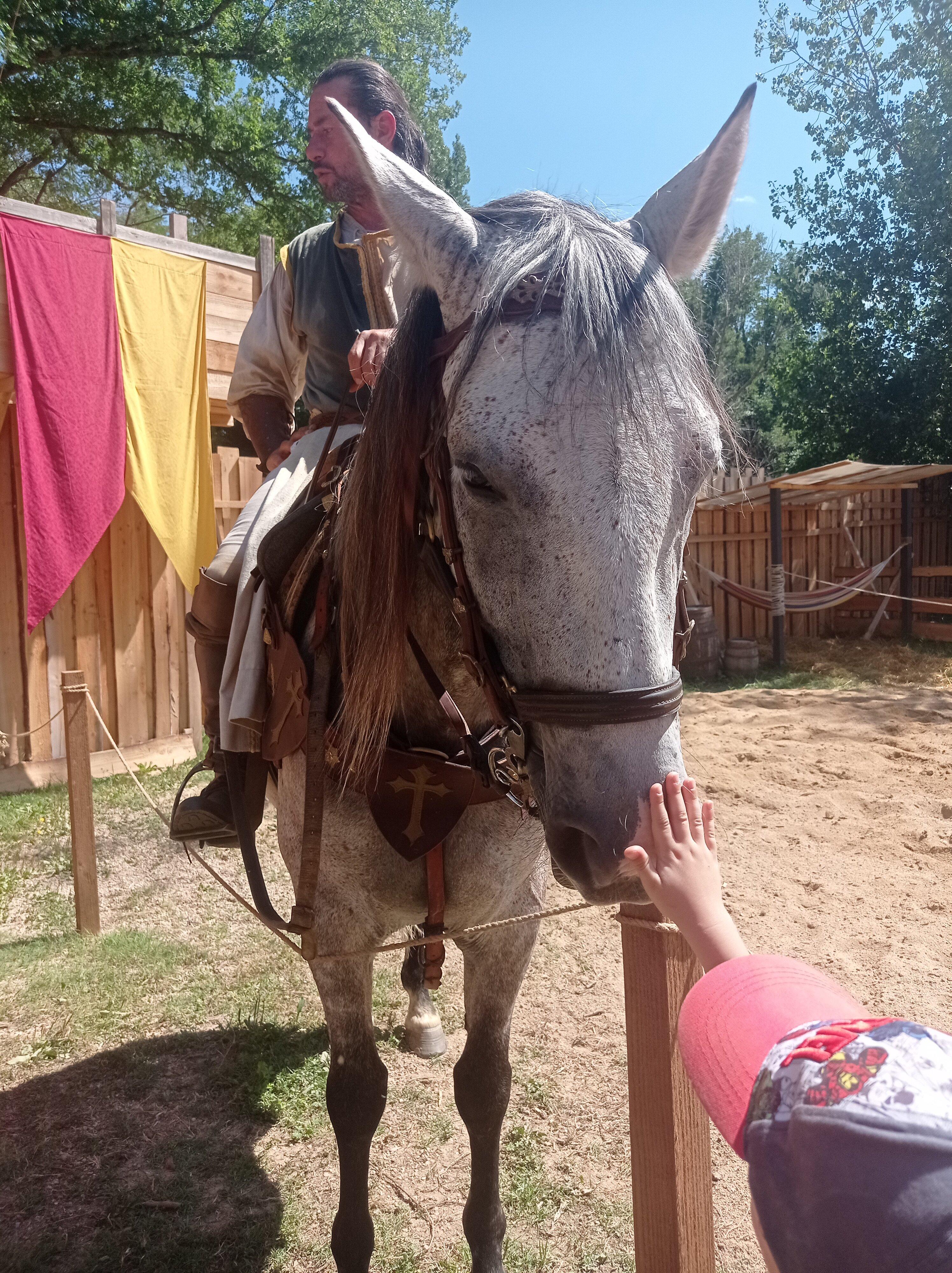 Tournoi de Chevalerie - Cordes sur Ciel
