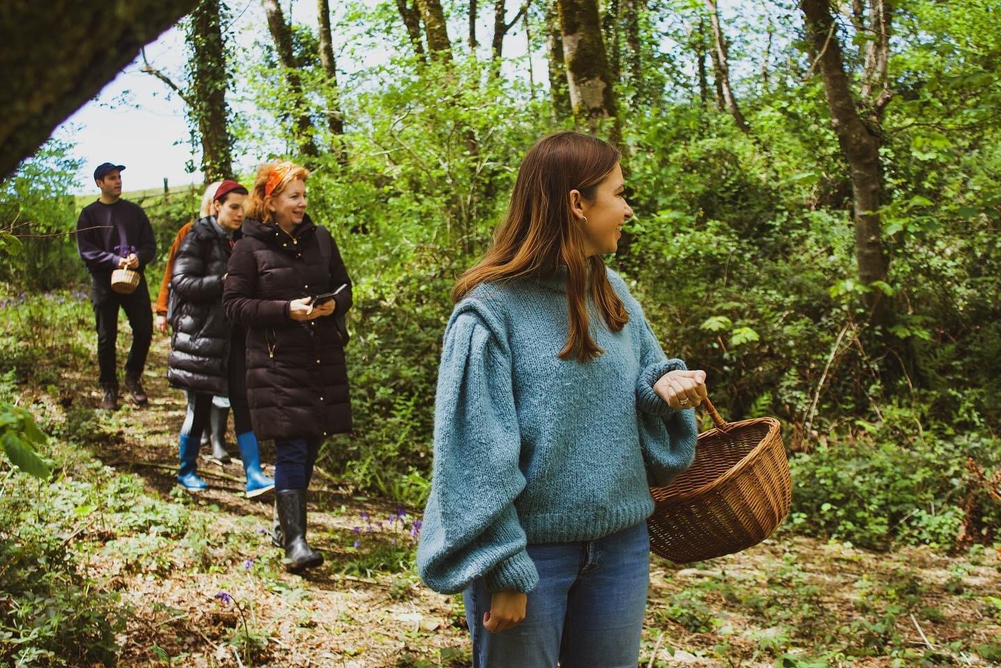 Forage Pembrokeshire