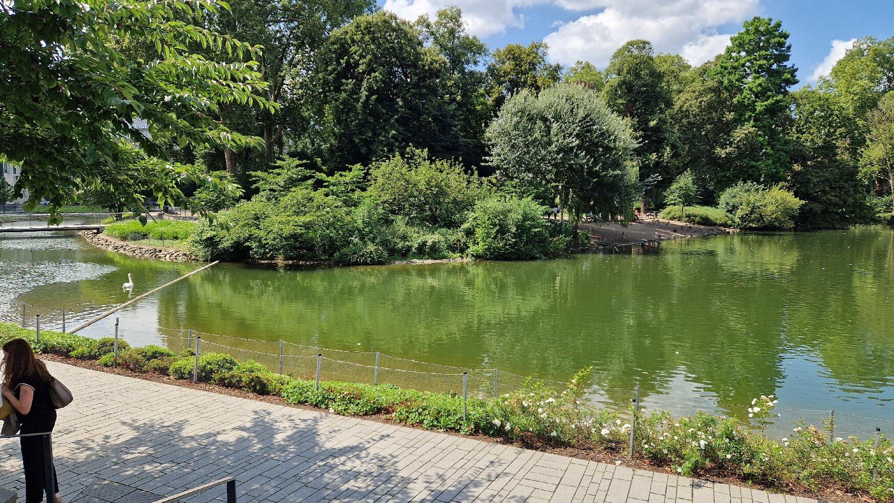 Eduard's By Breuninger