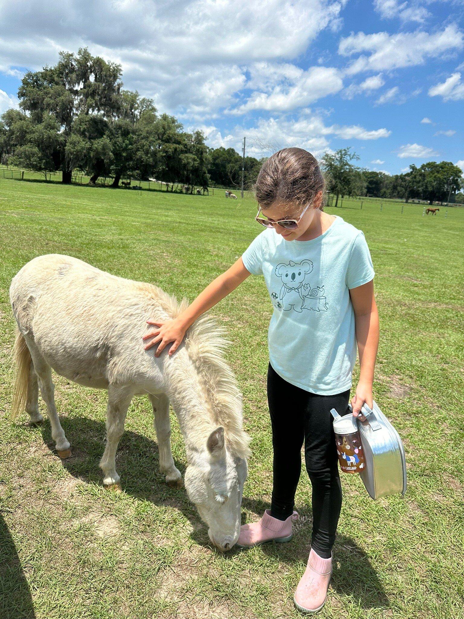 Hearts & Dreams Ranch & Retreat