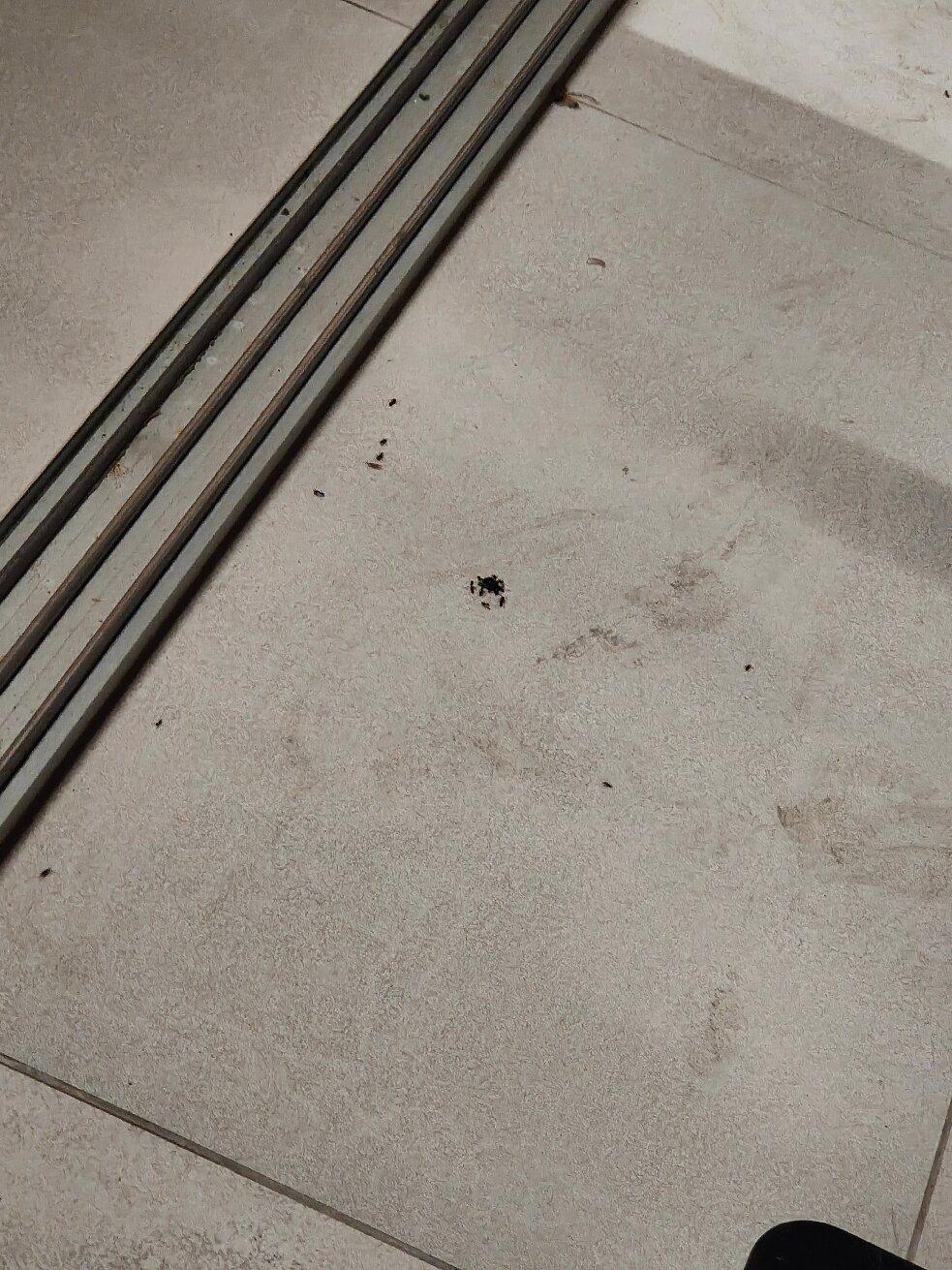 Photo by GiroPerIlMondo13