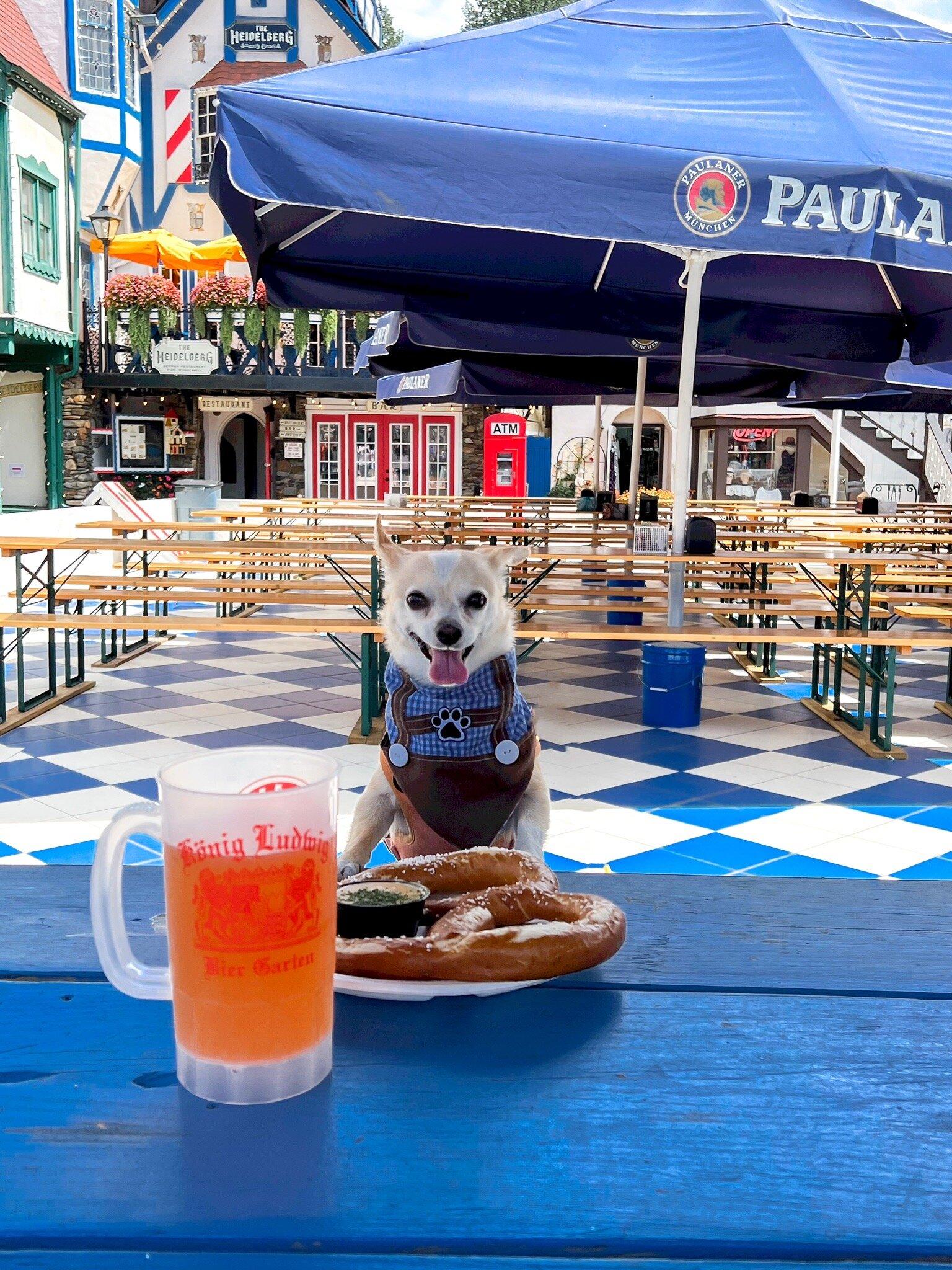 Photo by NashvillePredsGirl