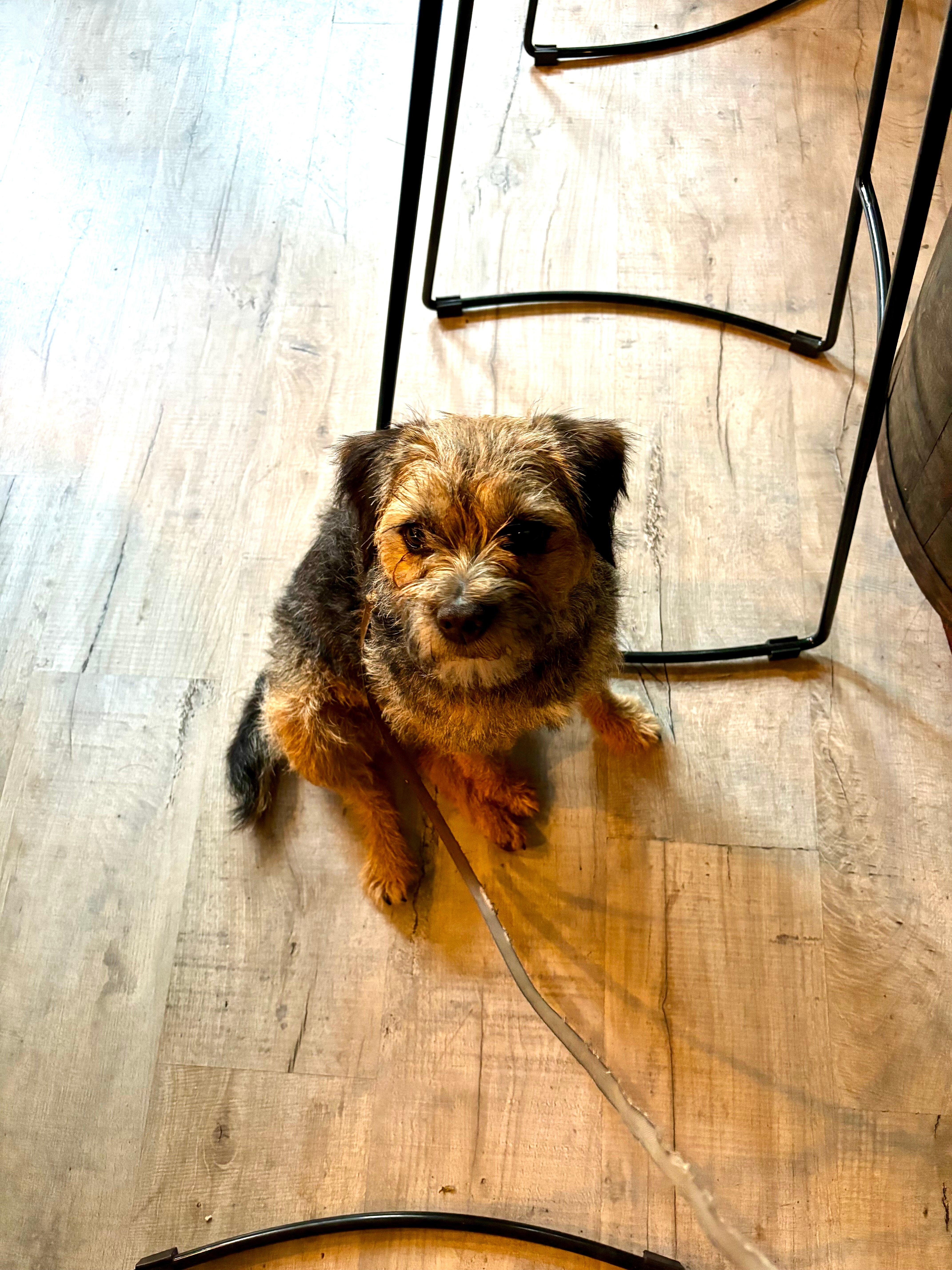 Ten Bottles Wine & Tapas Bar