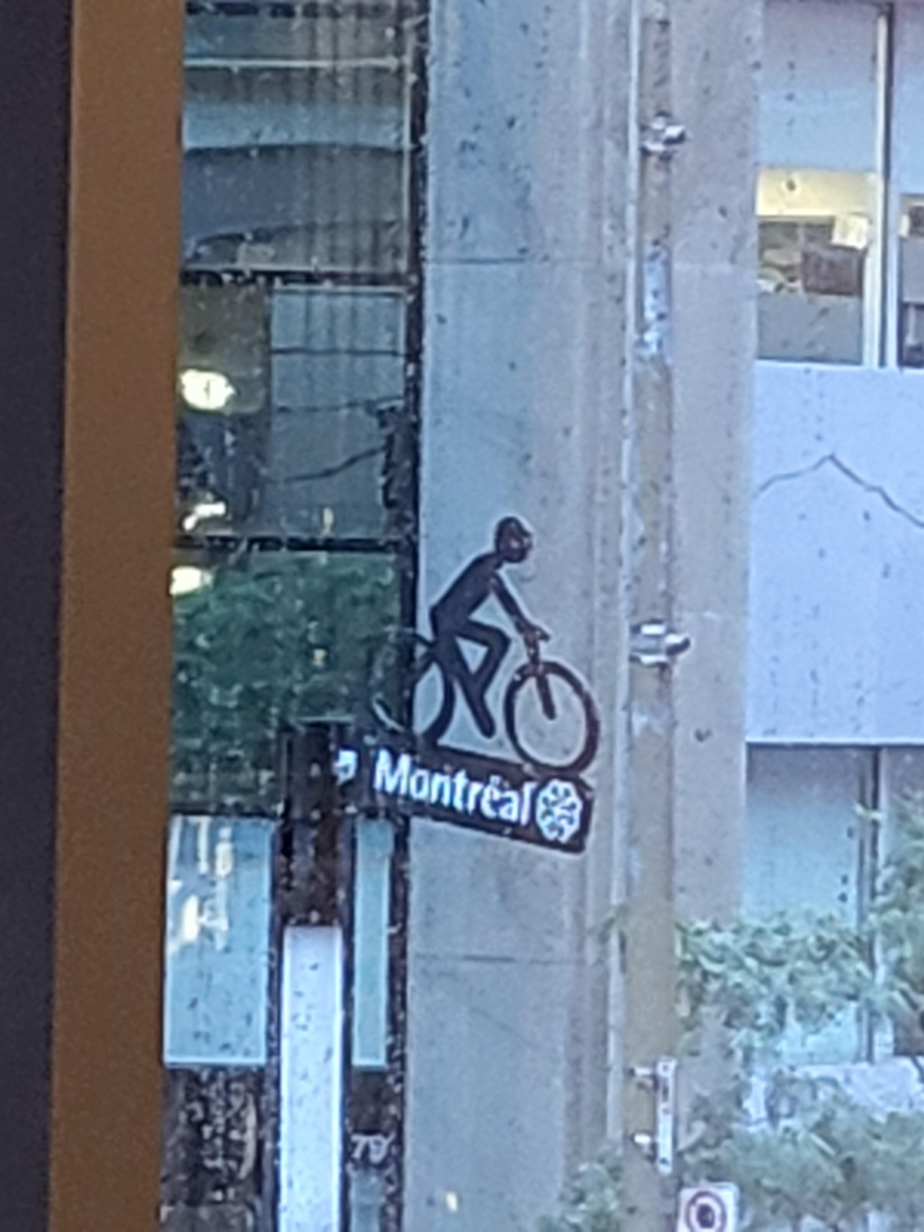 Duty Free - The Loop