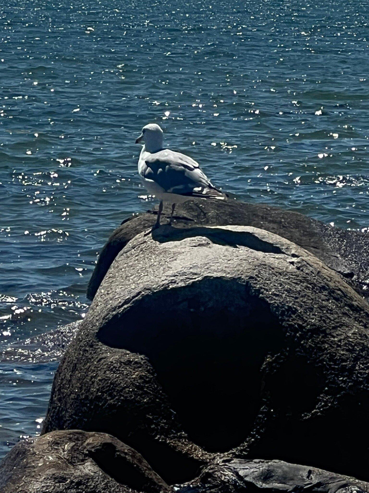 St. Catherine's River Beach