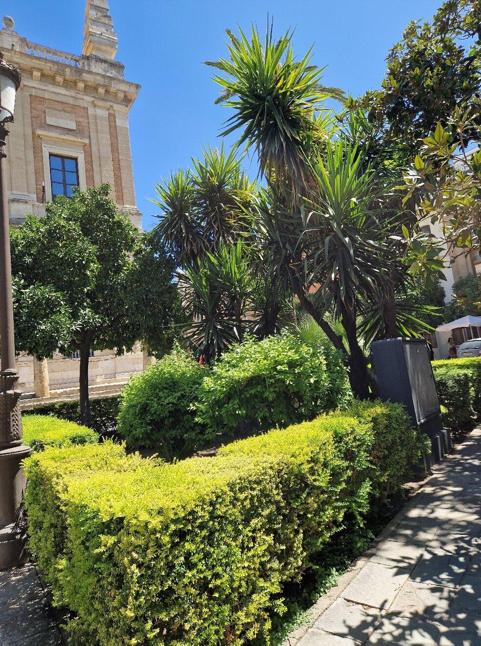 Avenida de la Constitucion