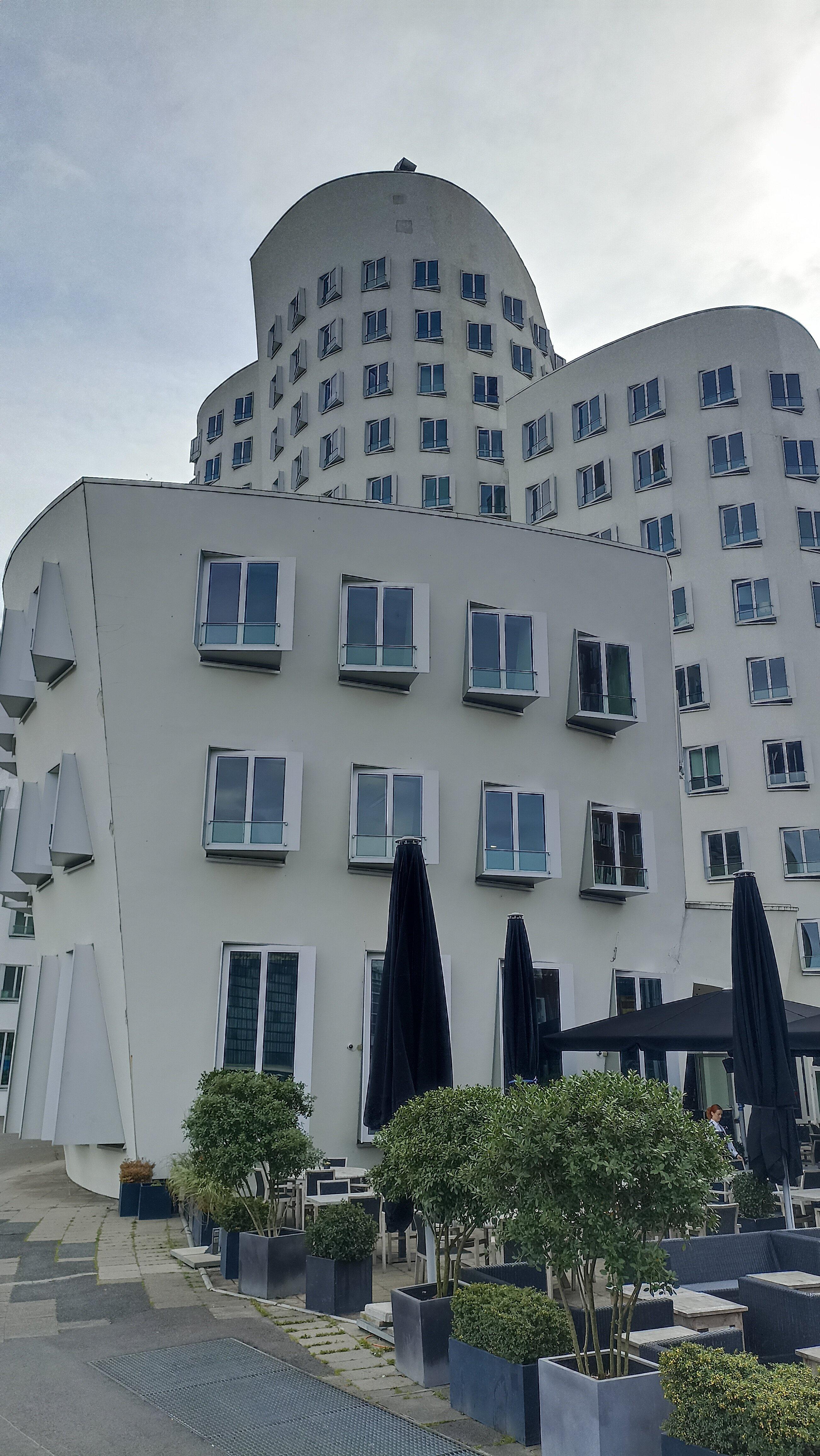 Pillar Saints - The Photographer