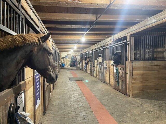 Nookside Stables