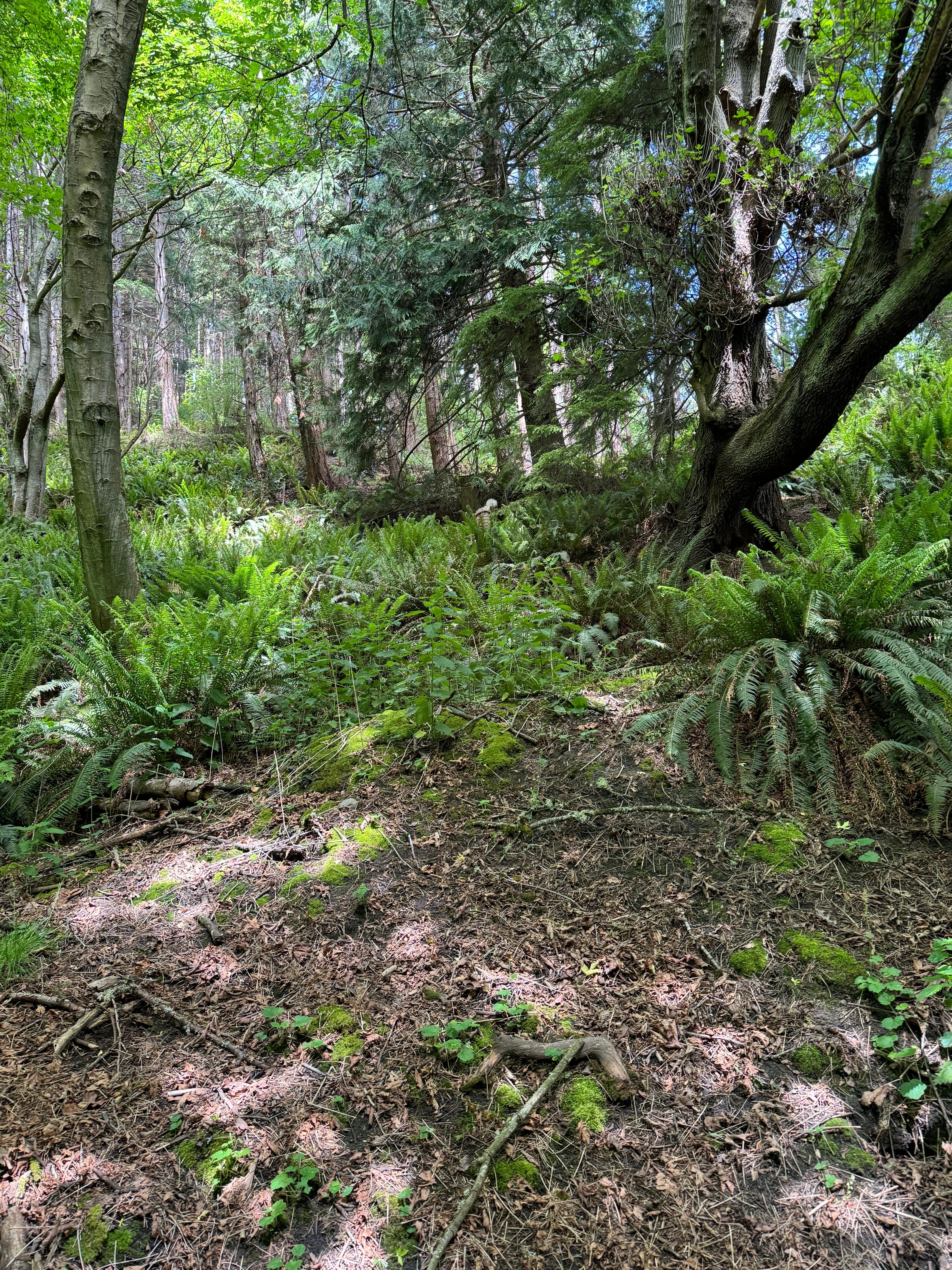 Possession Point State Park