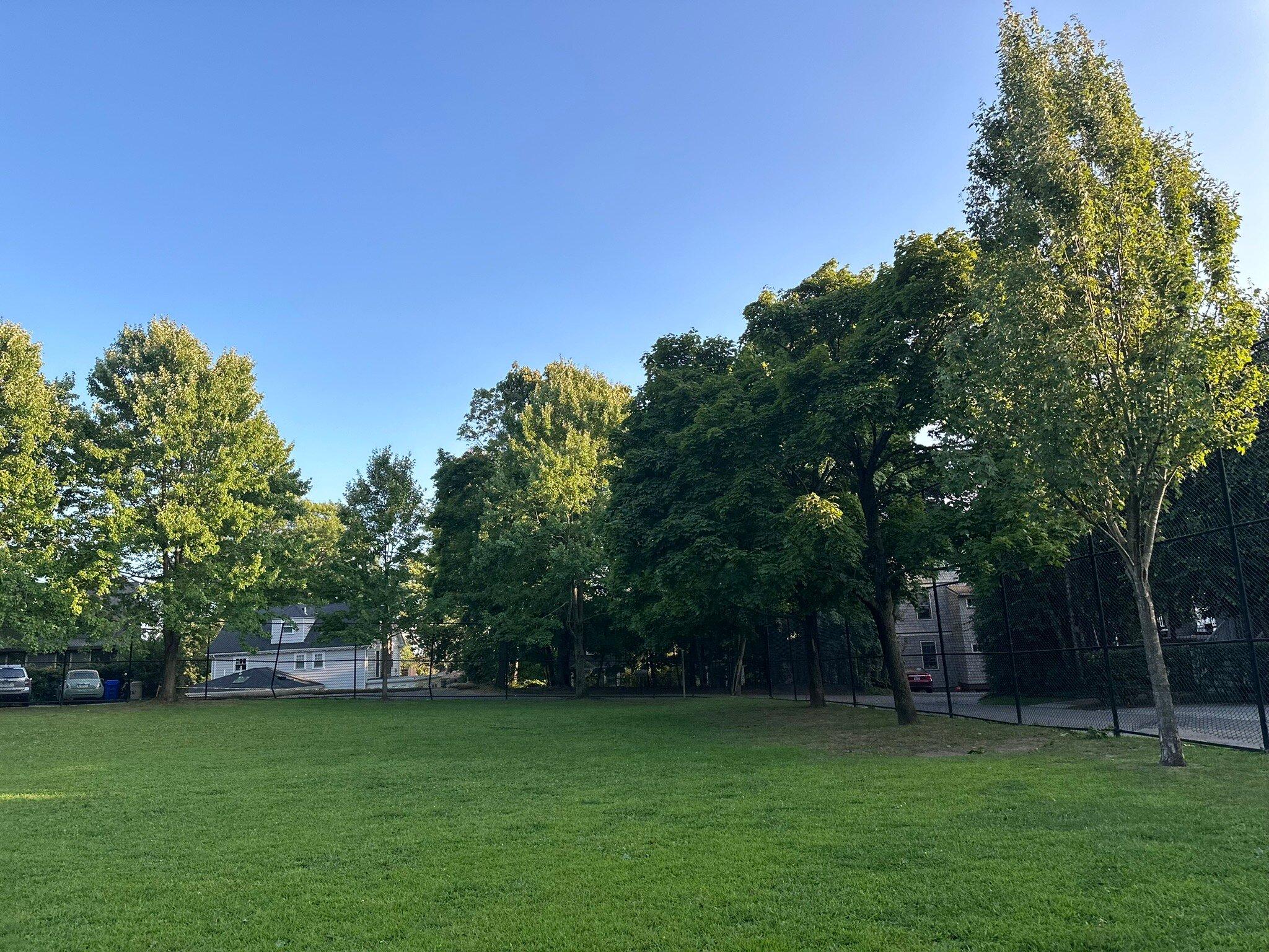 Photo by Curiosity41382563921