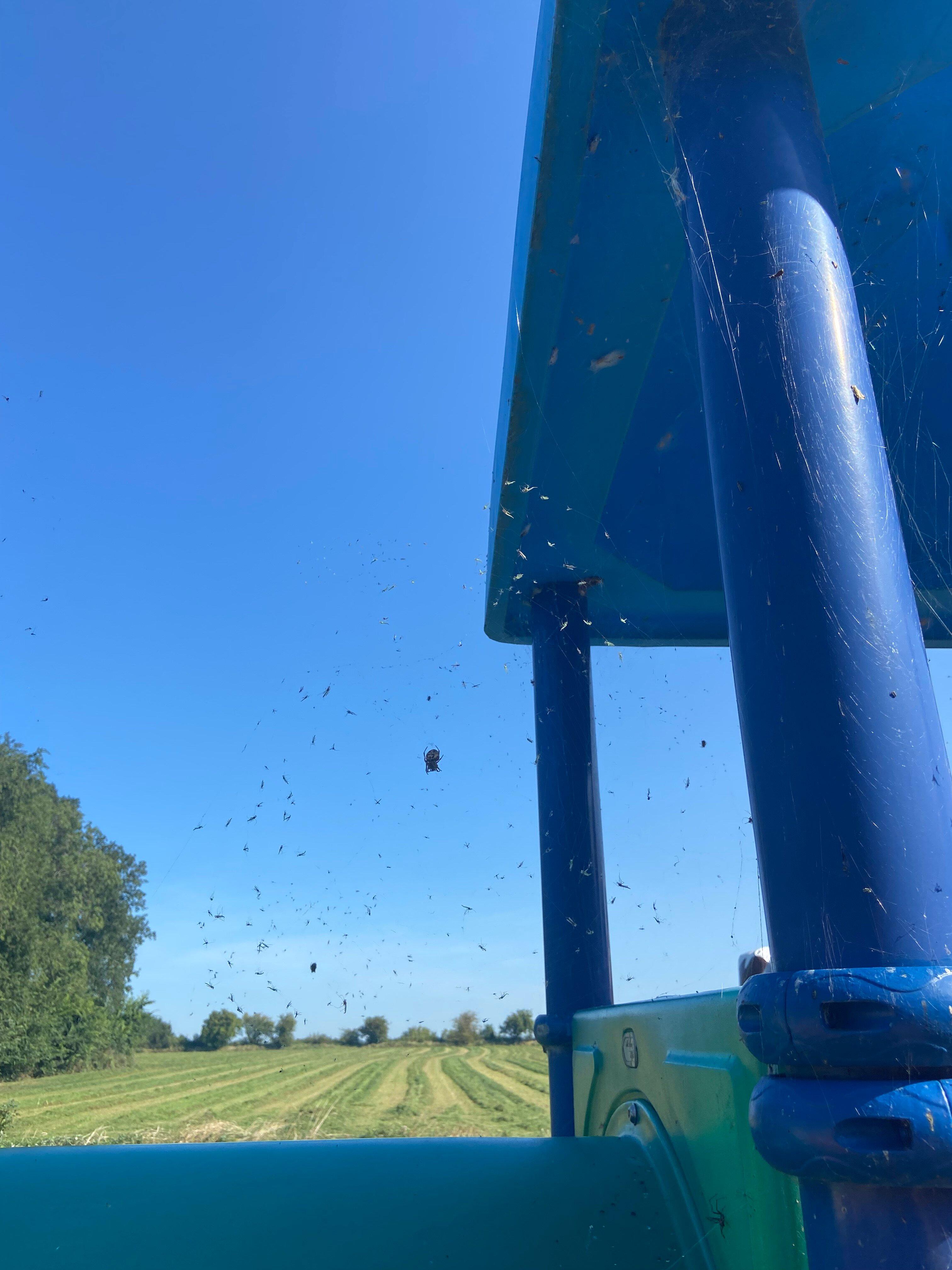 sybrandy's Speelpark