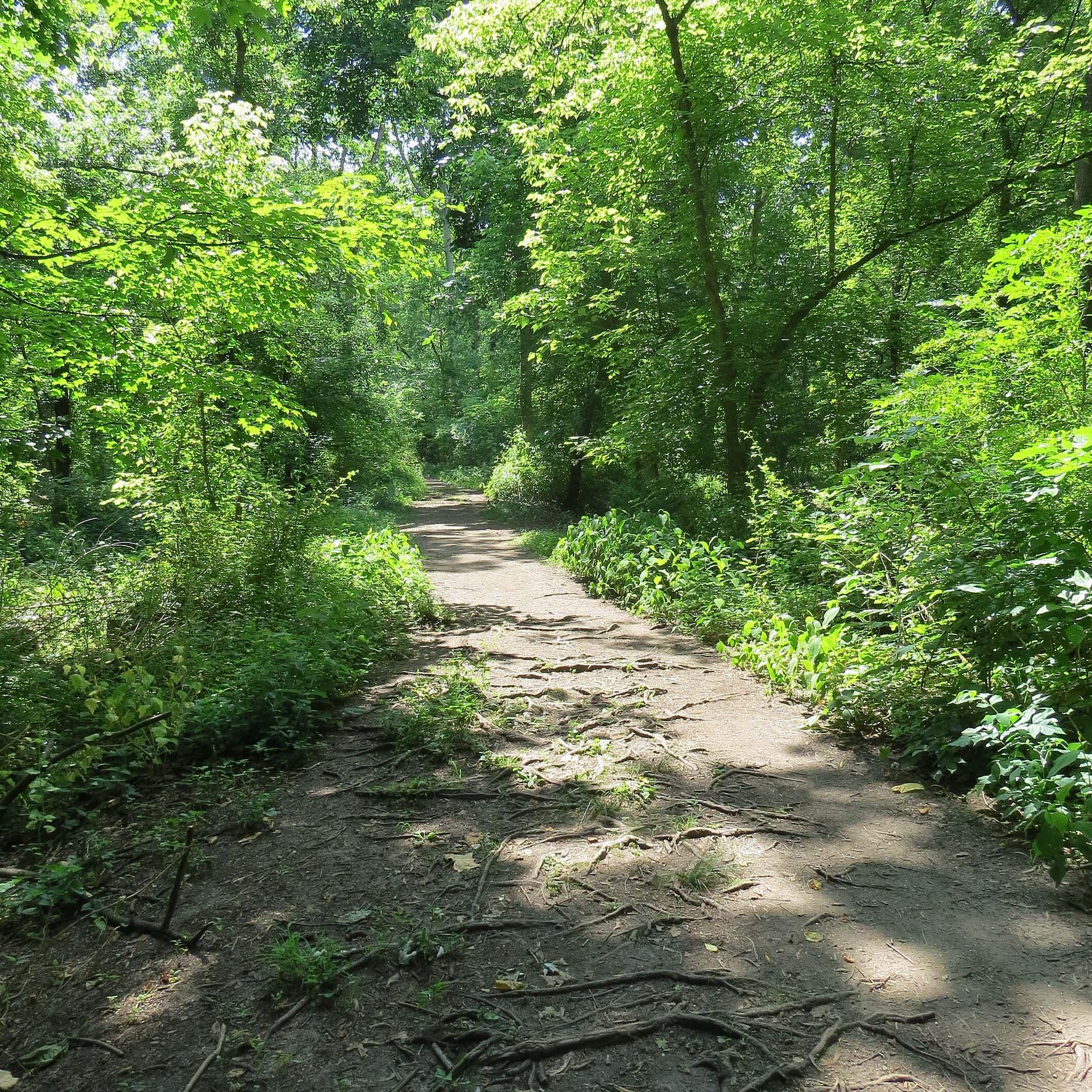 Photo by MitchPhyllis65