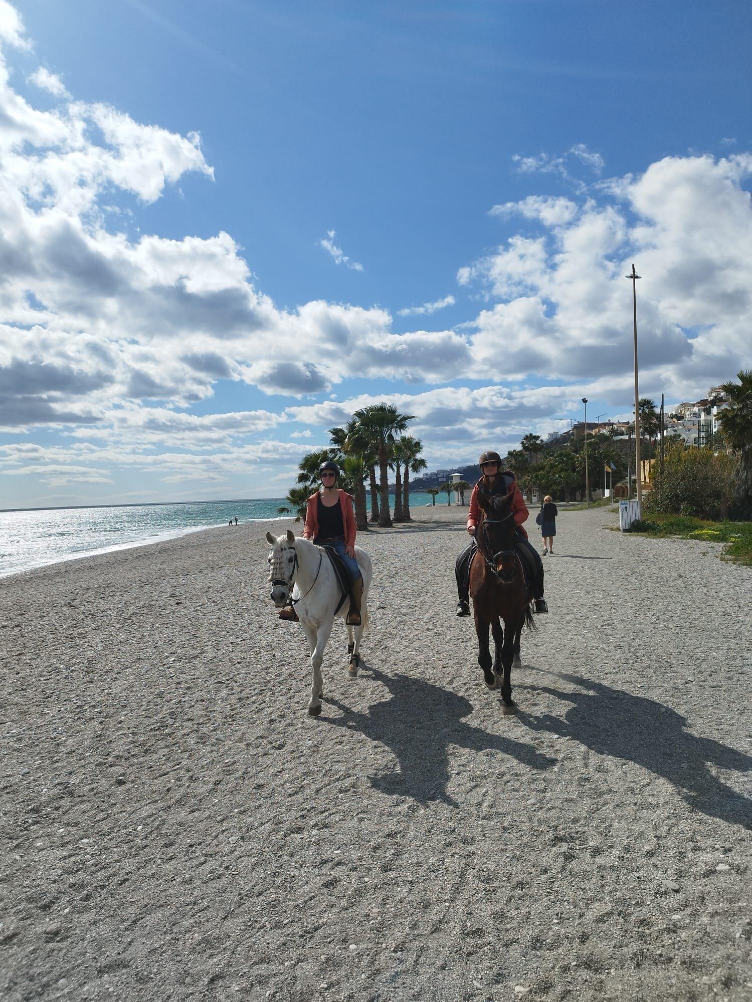 Jade Equestrian Nerja