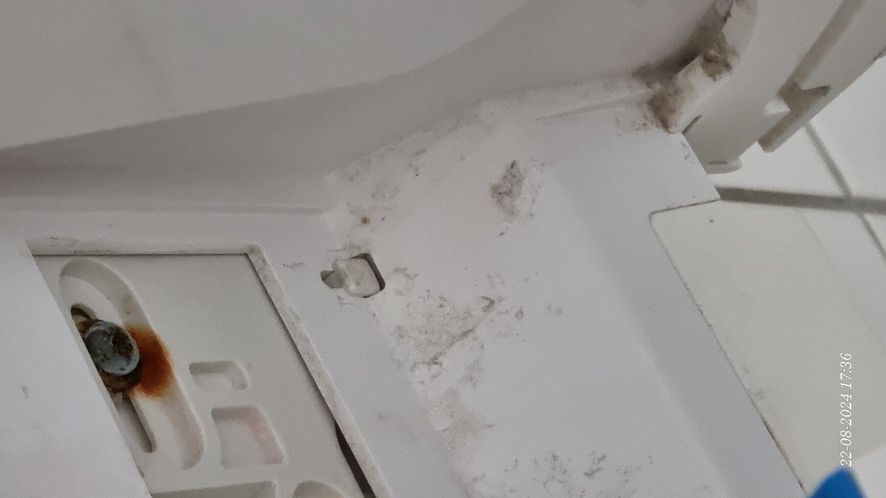 Photo by jolandan394