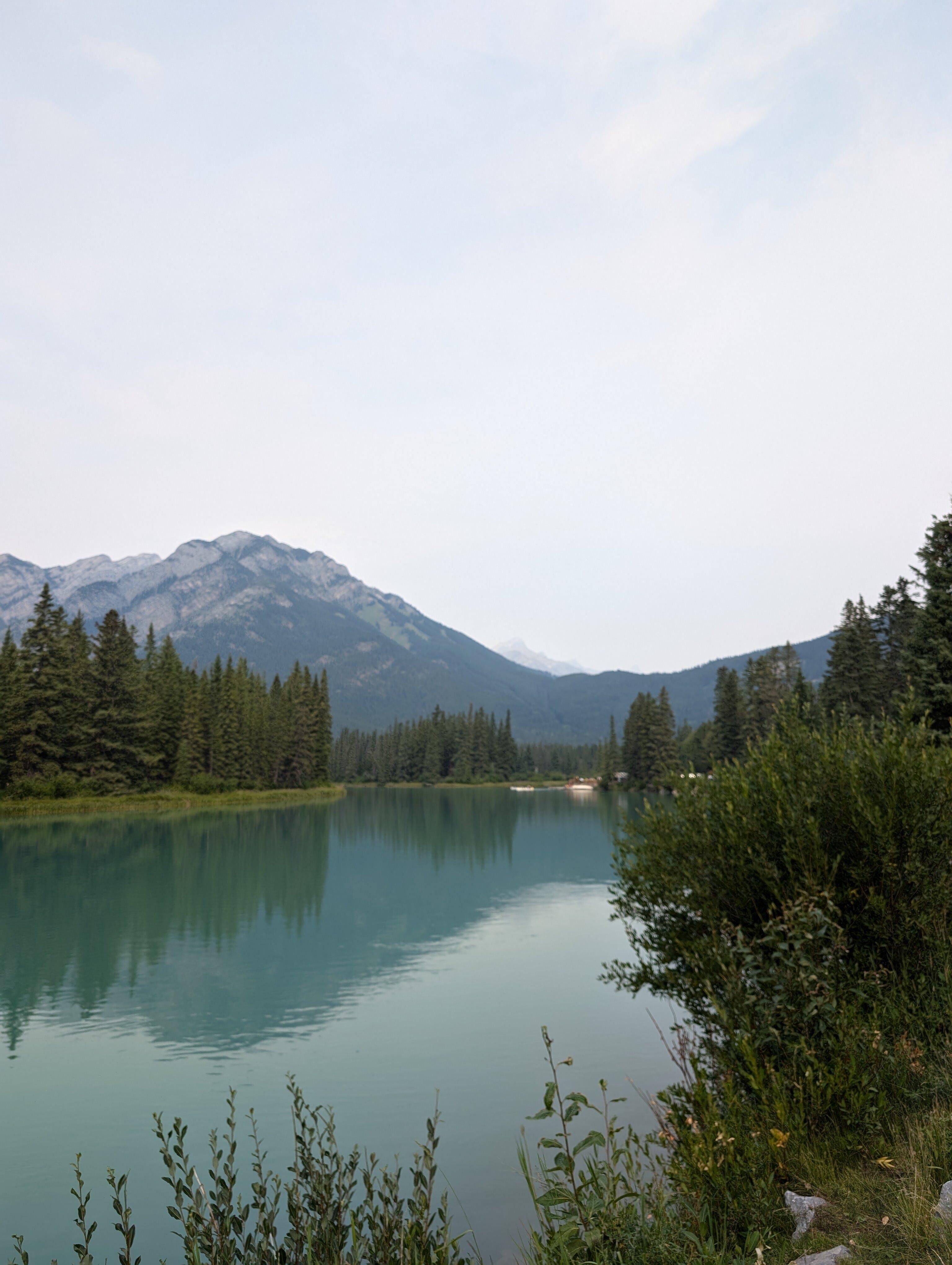 Red Lands and Whales