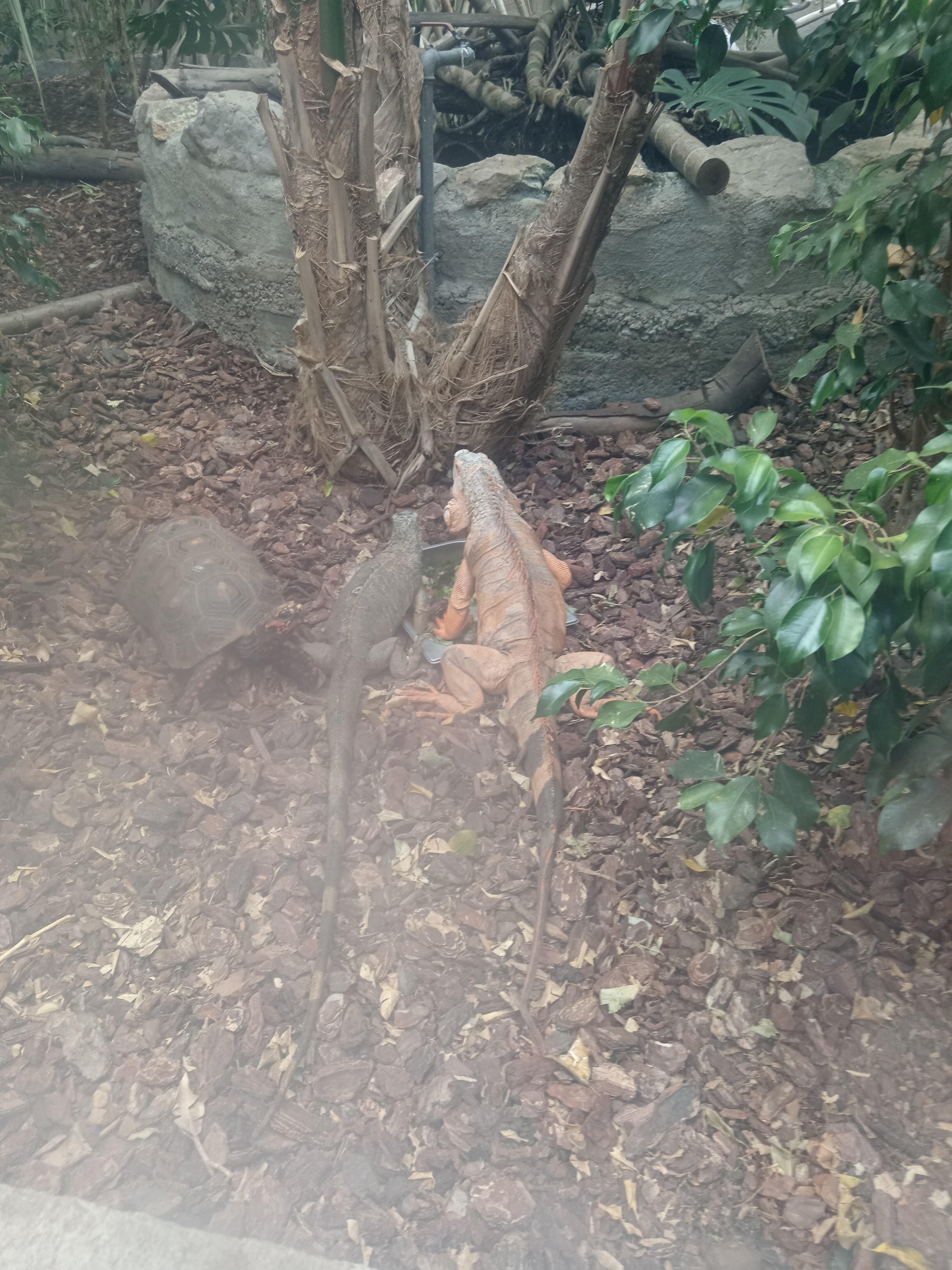 Photo by massimotY3744PB