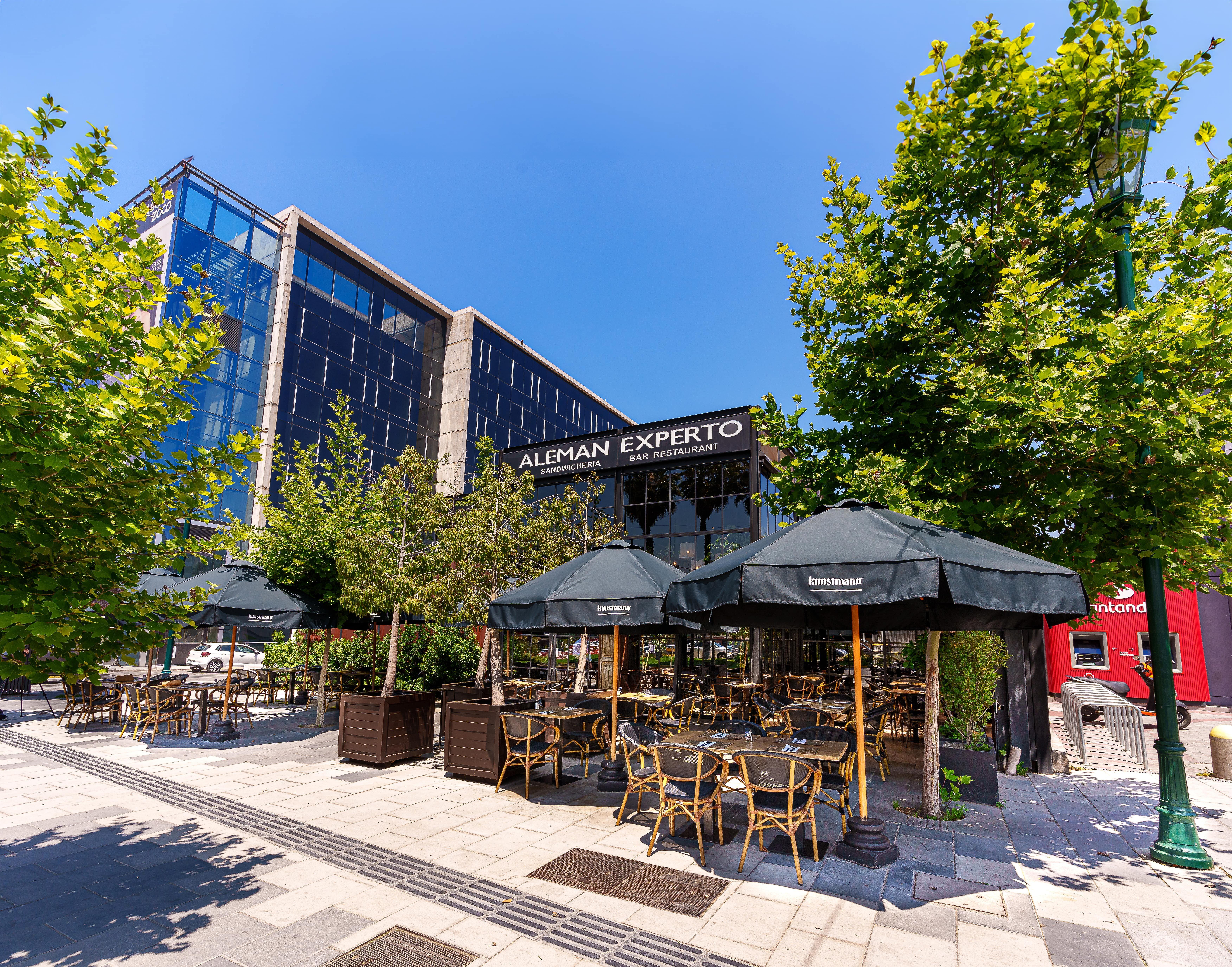 Alemán Experto La Dehesa