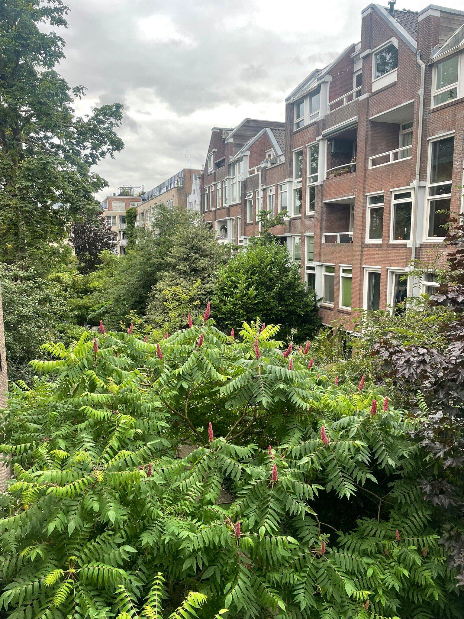 Canal Wow Suites Amsterdam