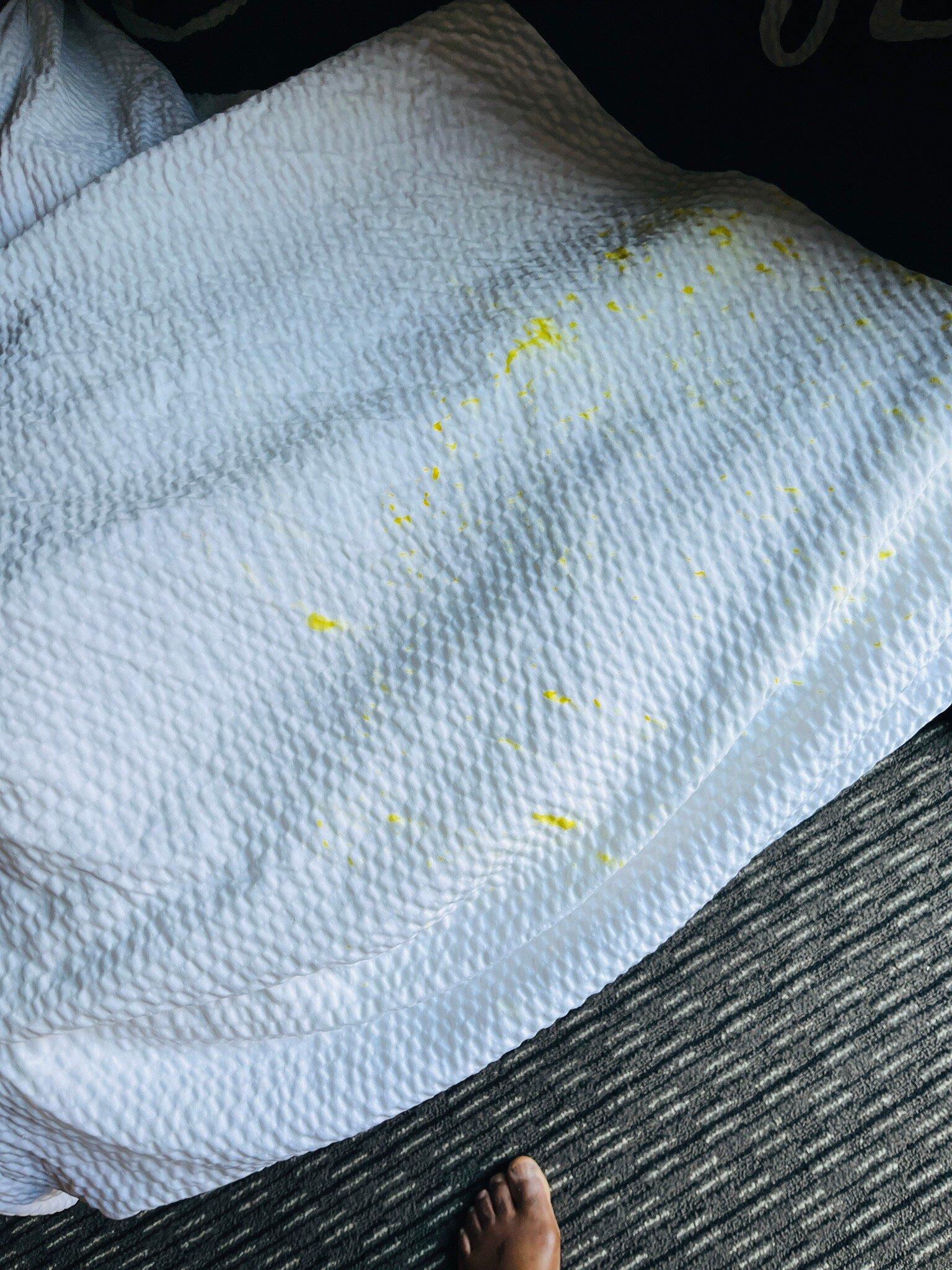 Photo by nedlane2016