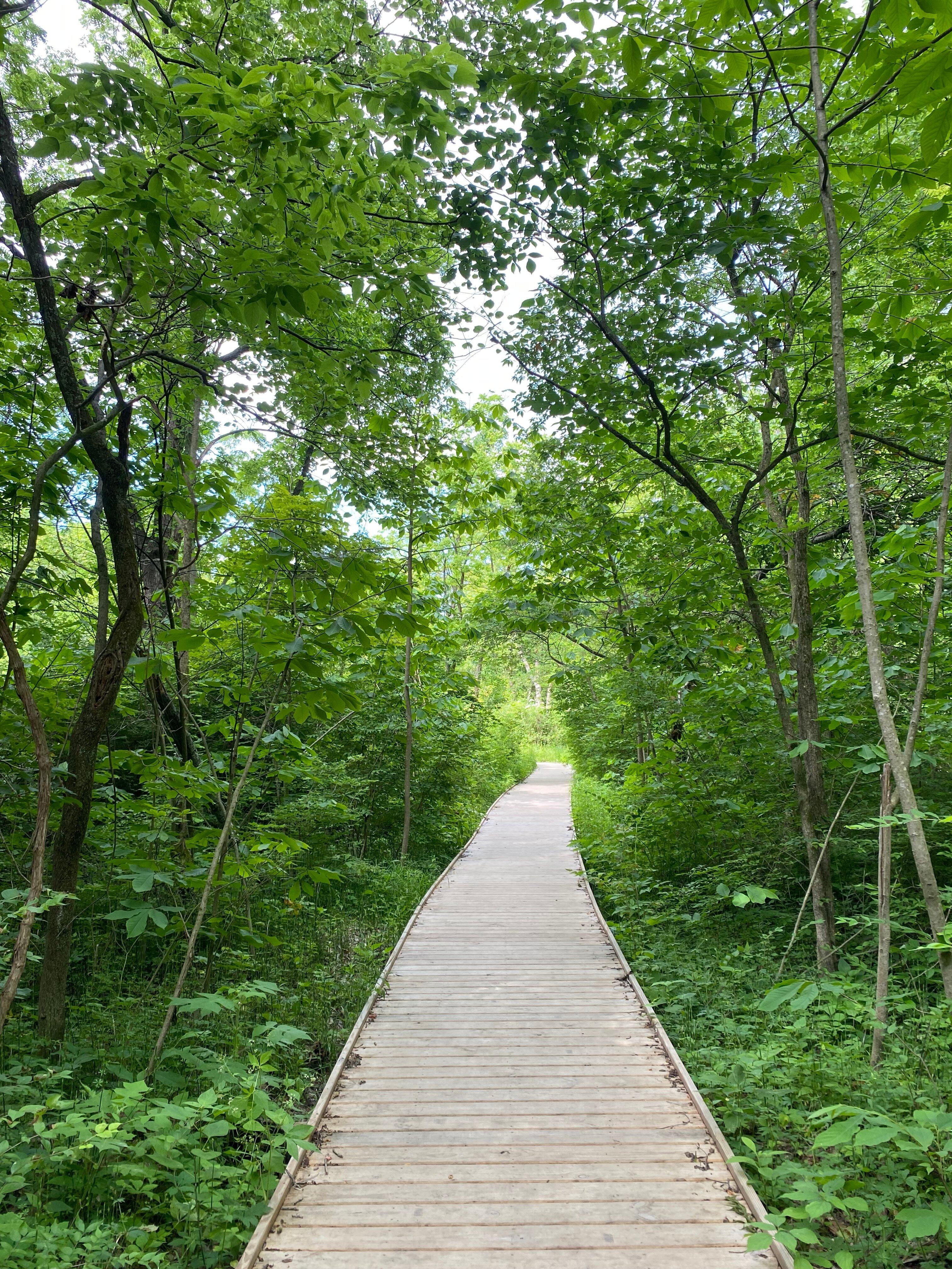 Photo by PartyTheNightAway