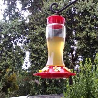 Photo by Sightsee37055502661