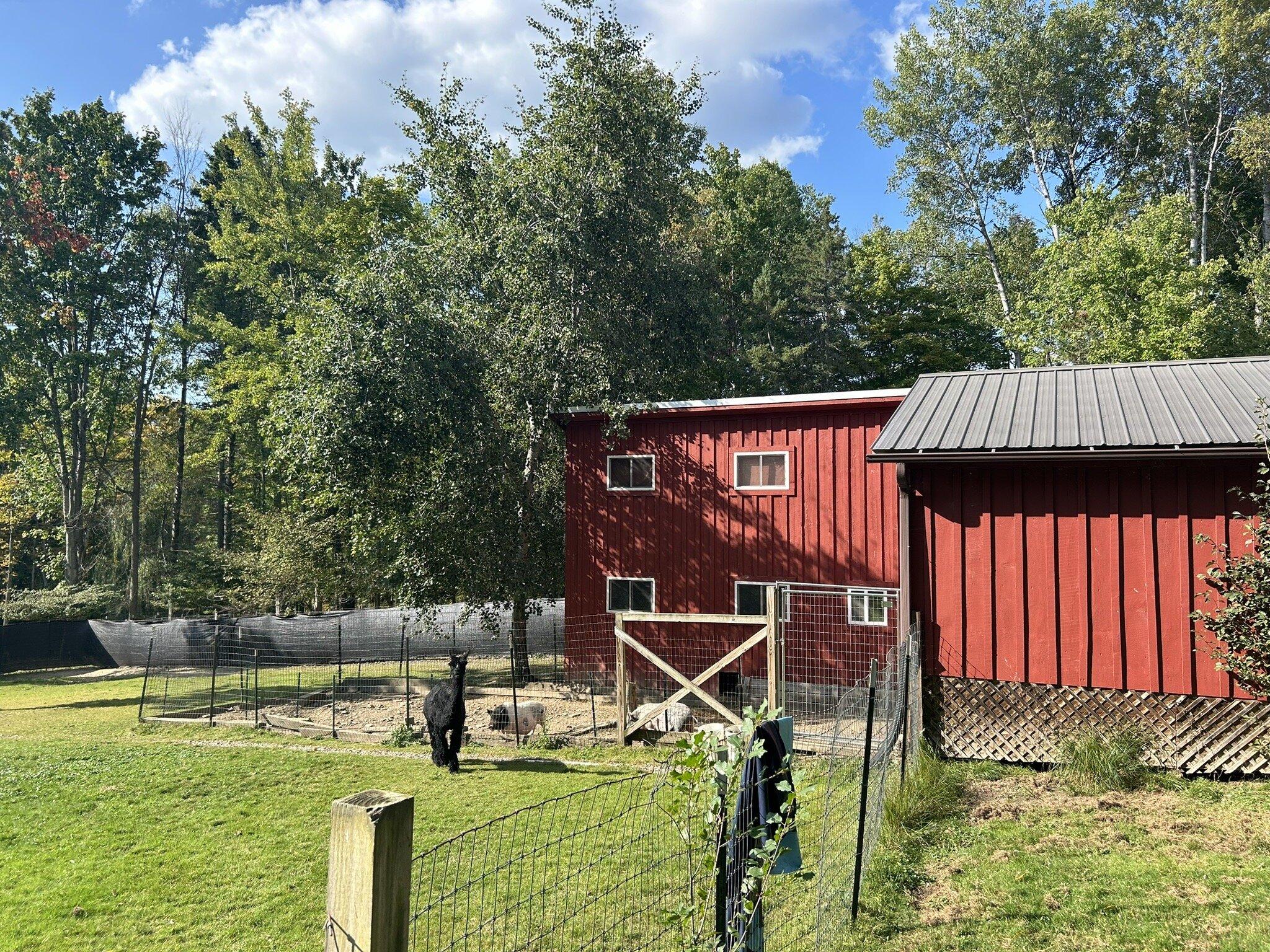 Alpacaville