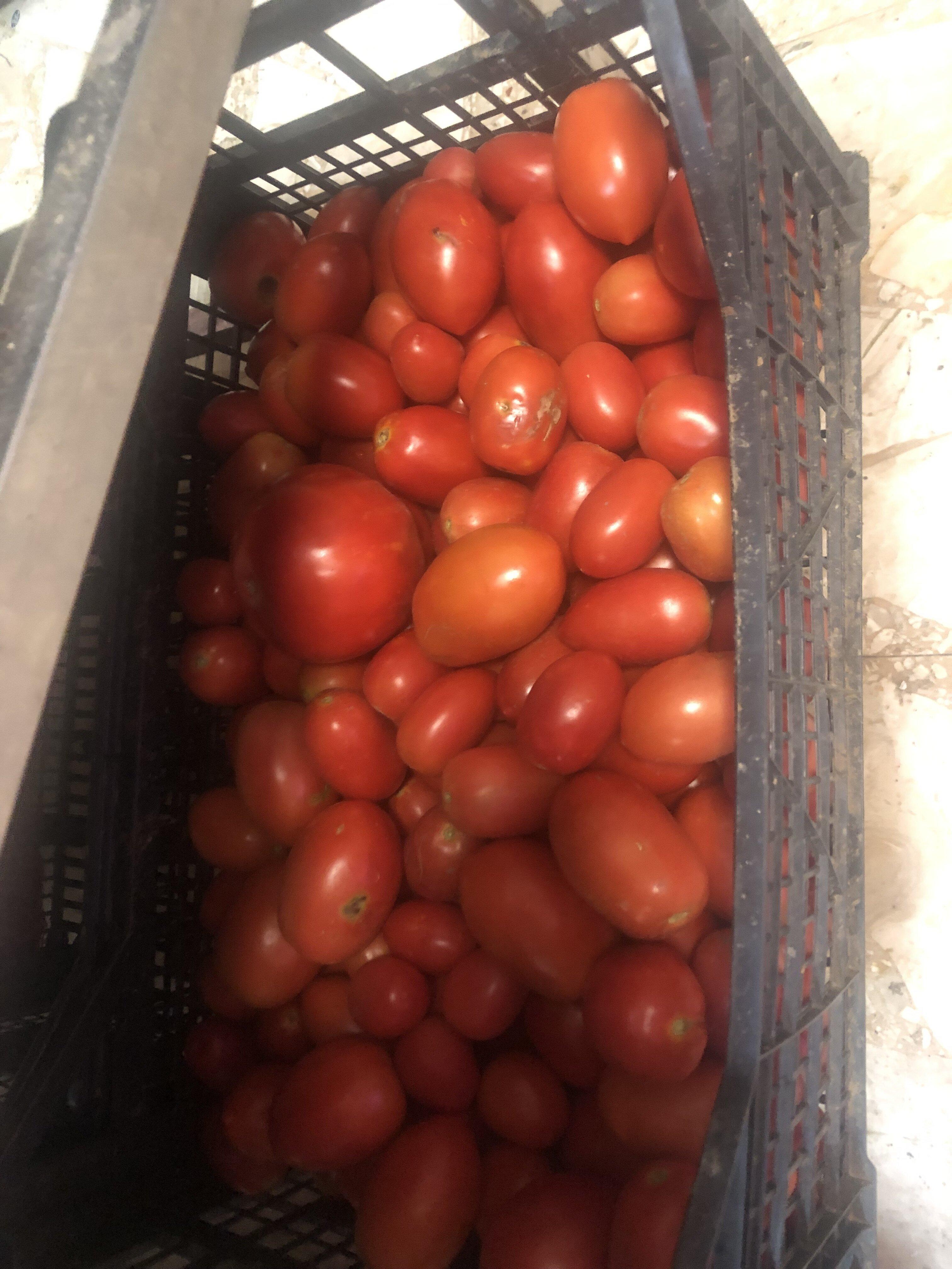 Mercato Coperto Porta Nuova