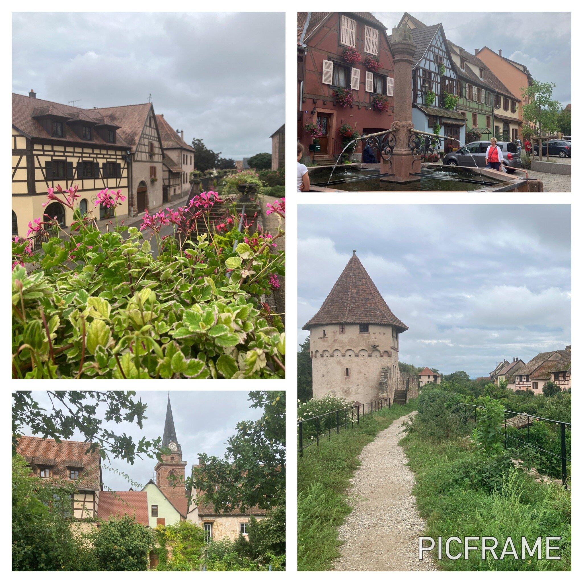 Chez Norbert Chambres d'hôtes et Gîtes