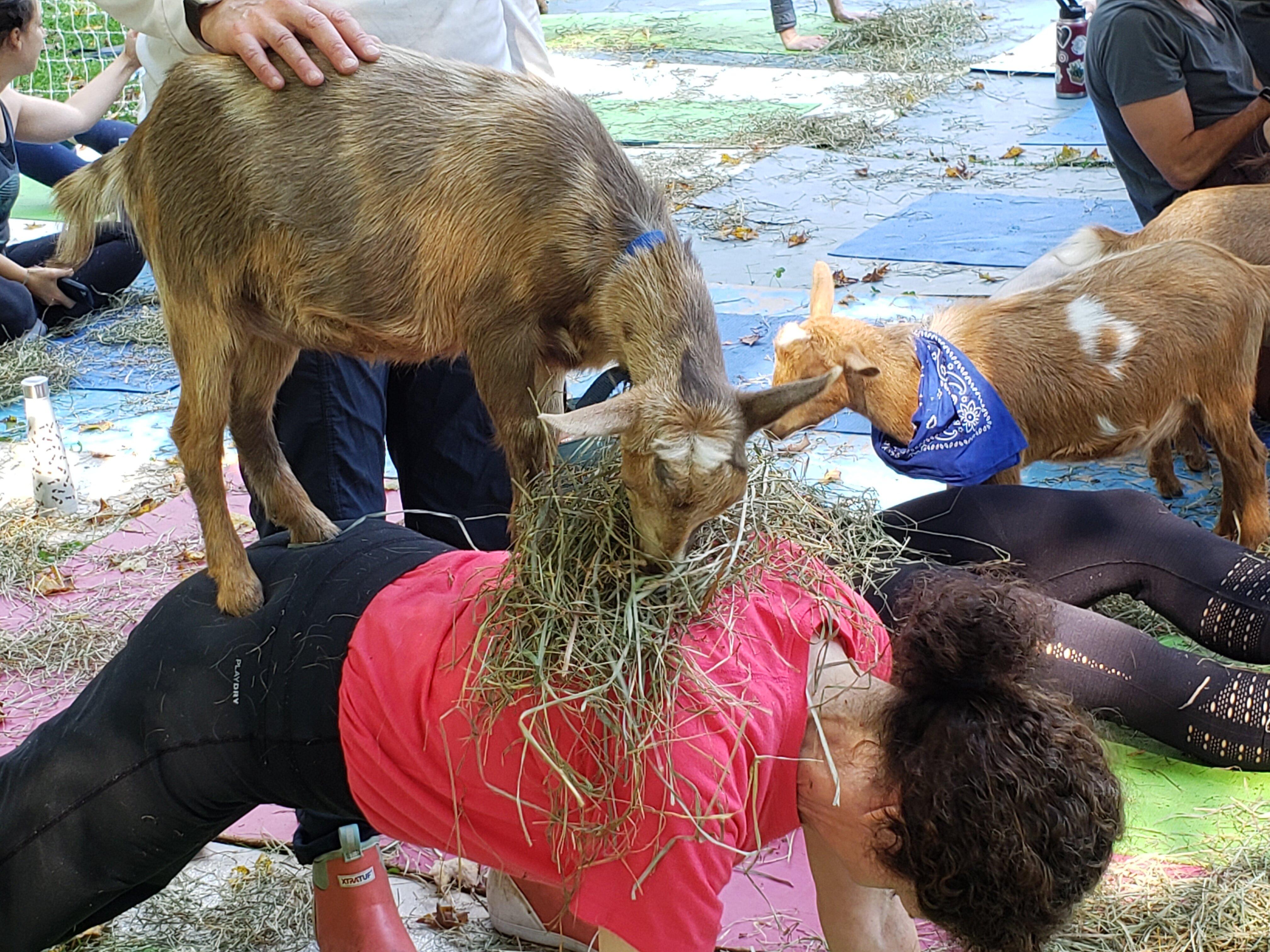 Photo by natalielovesnature