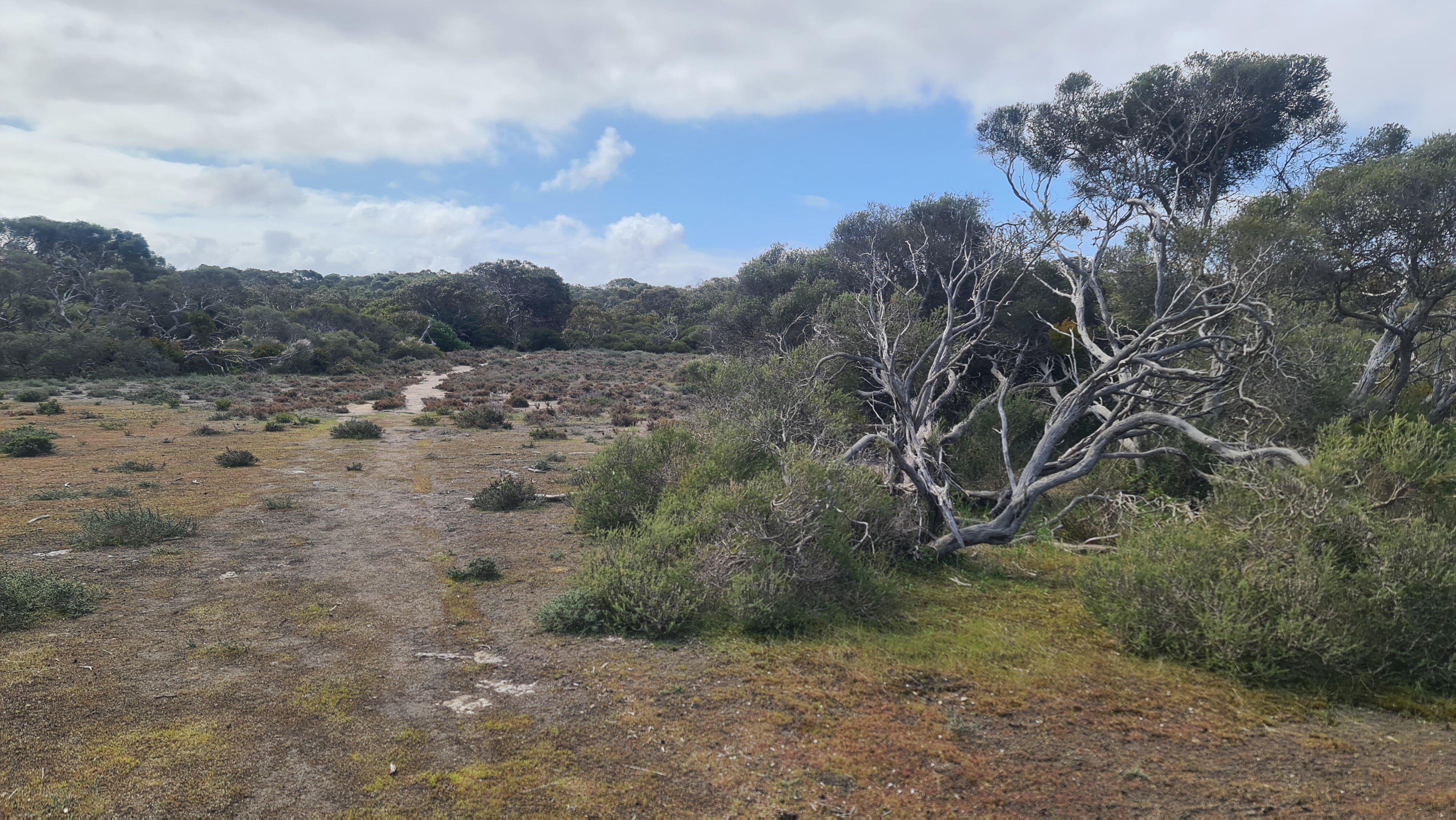 Bonney Reserve Nature Trail