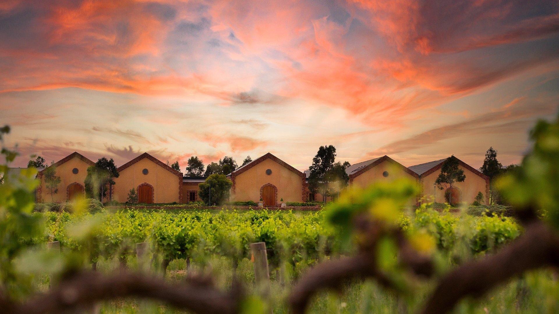 Murray Street Vineyards