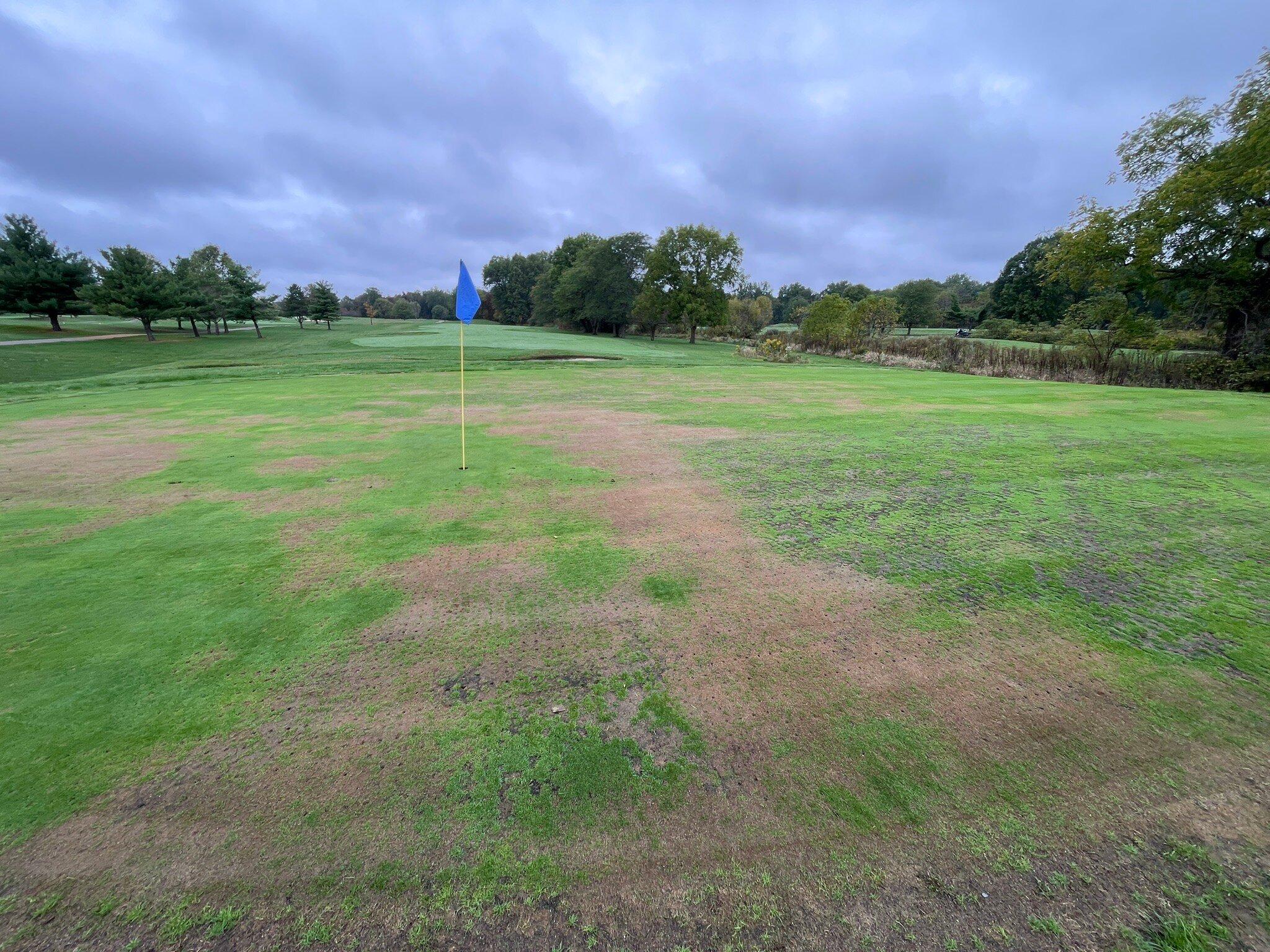 Royal American Links