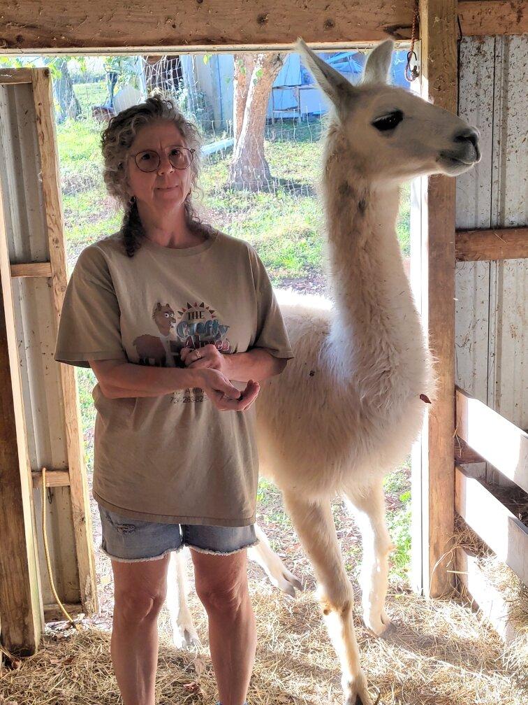 The Crafty Alpaca Farm And Store