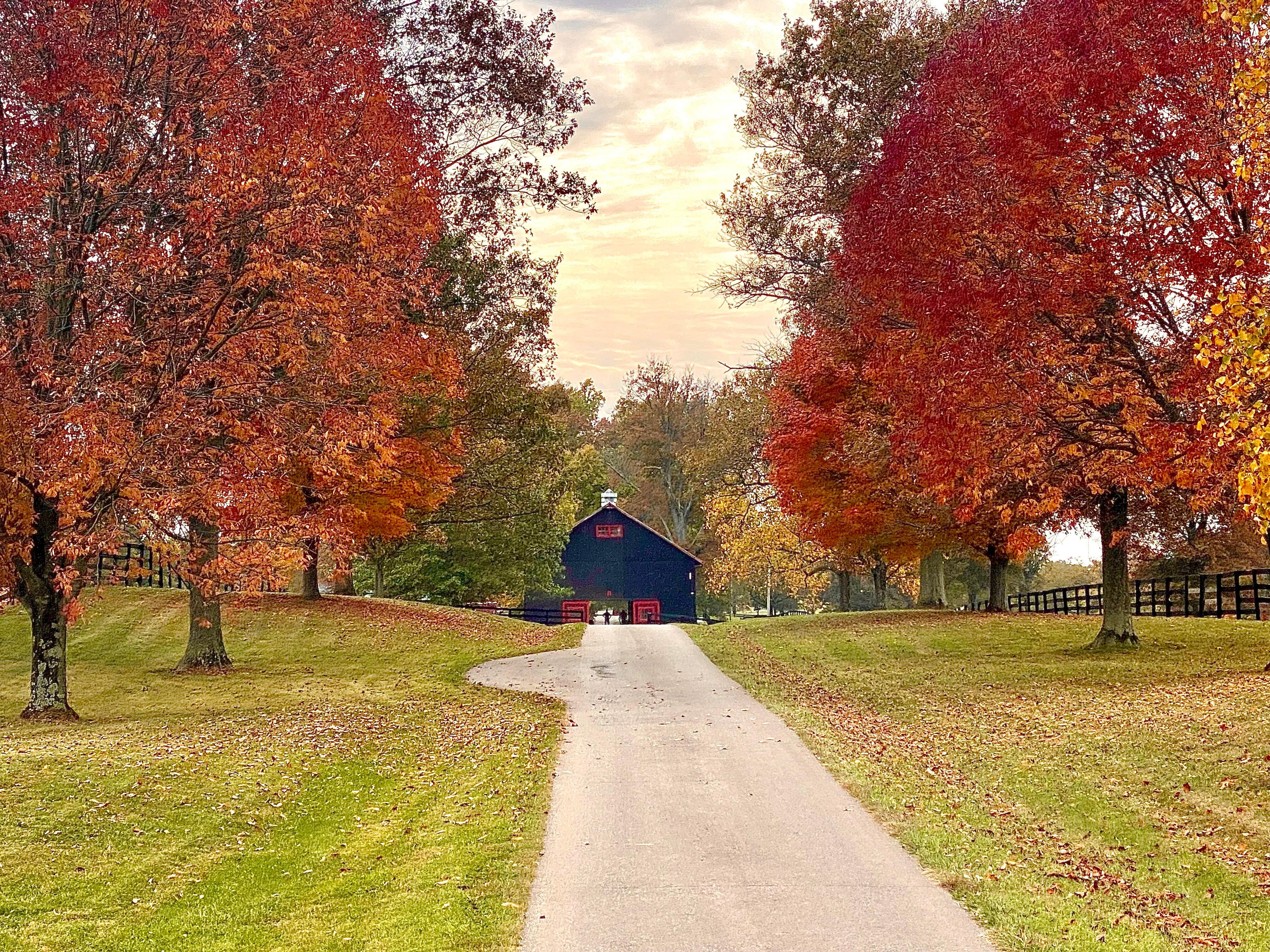 Hermitage Farm