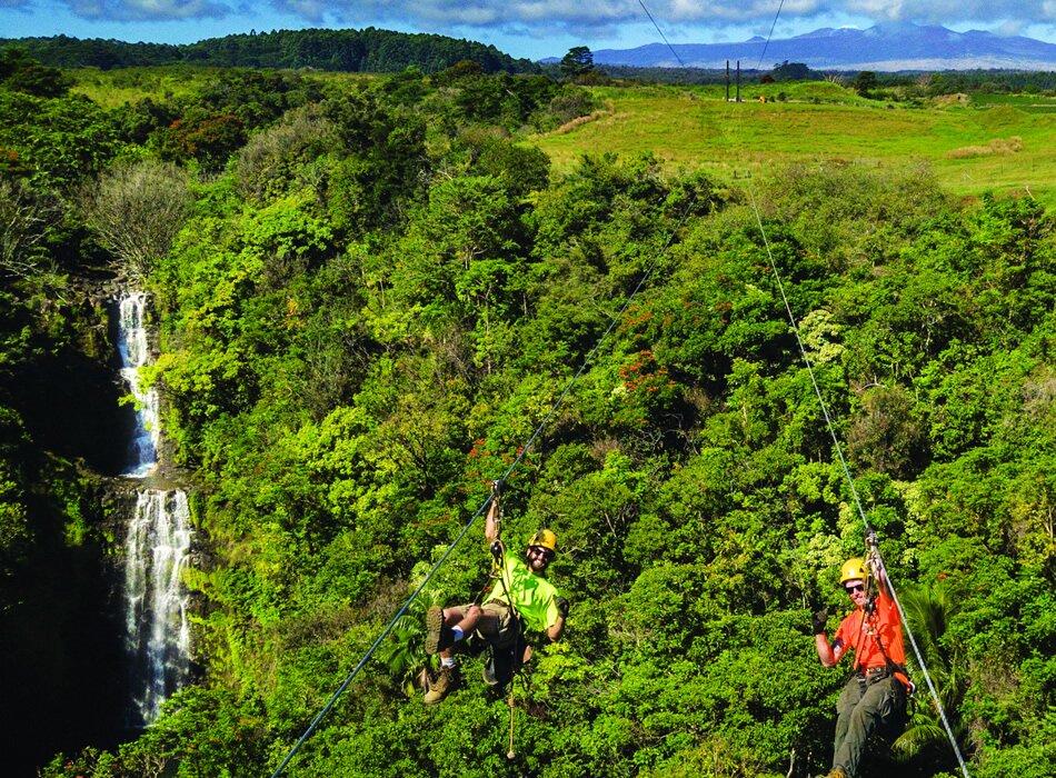 Botanical World Adventures