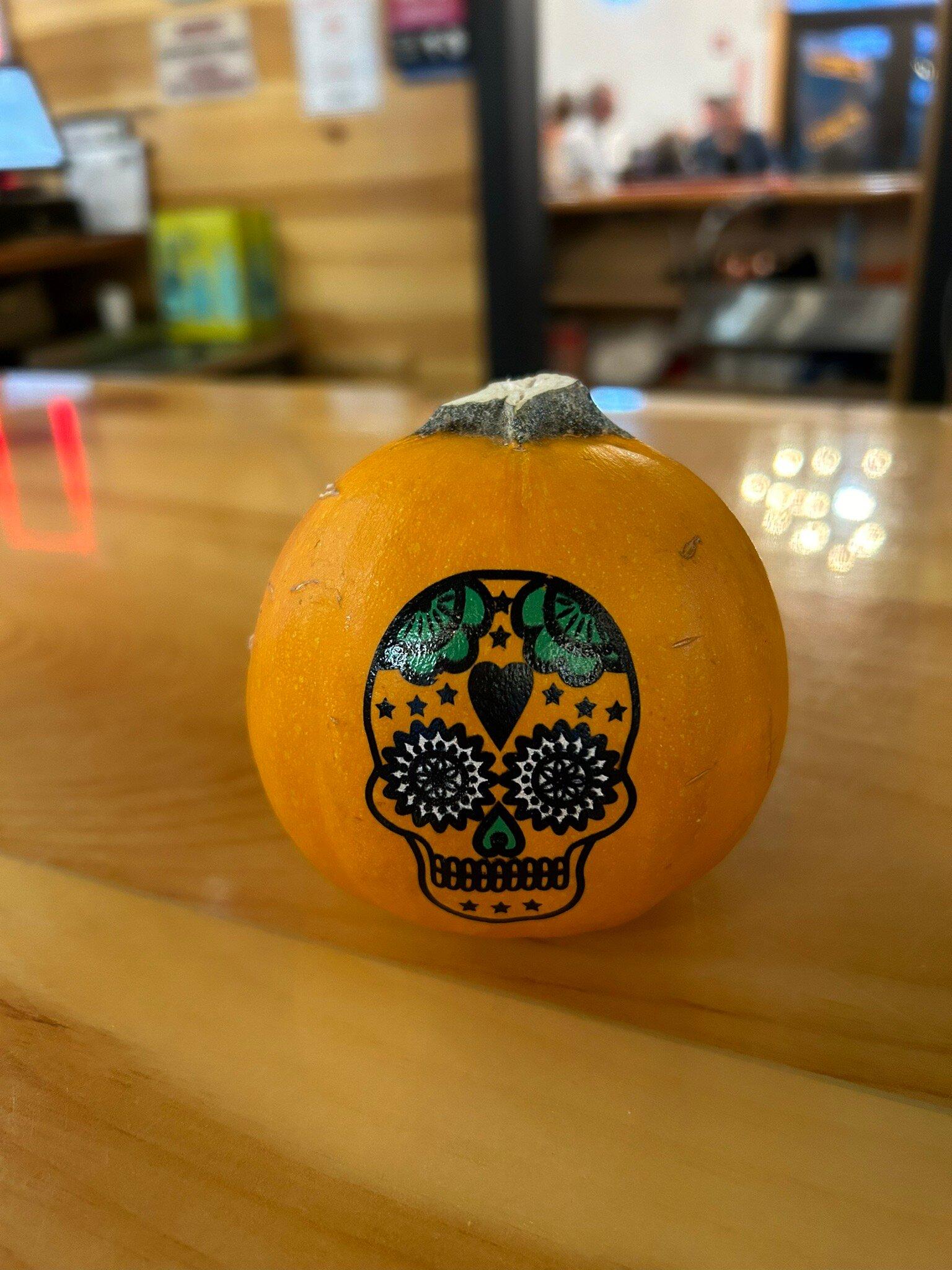 Photo by karengN9891HI