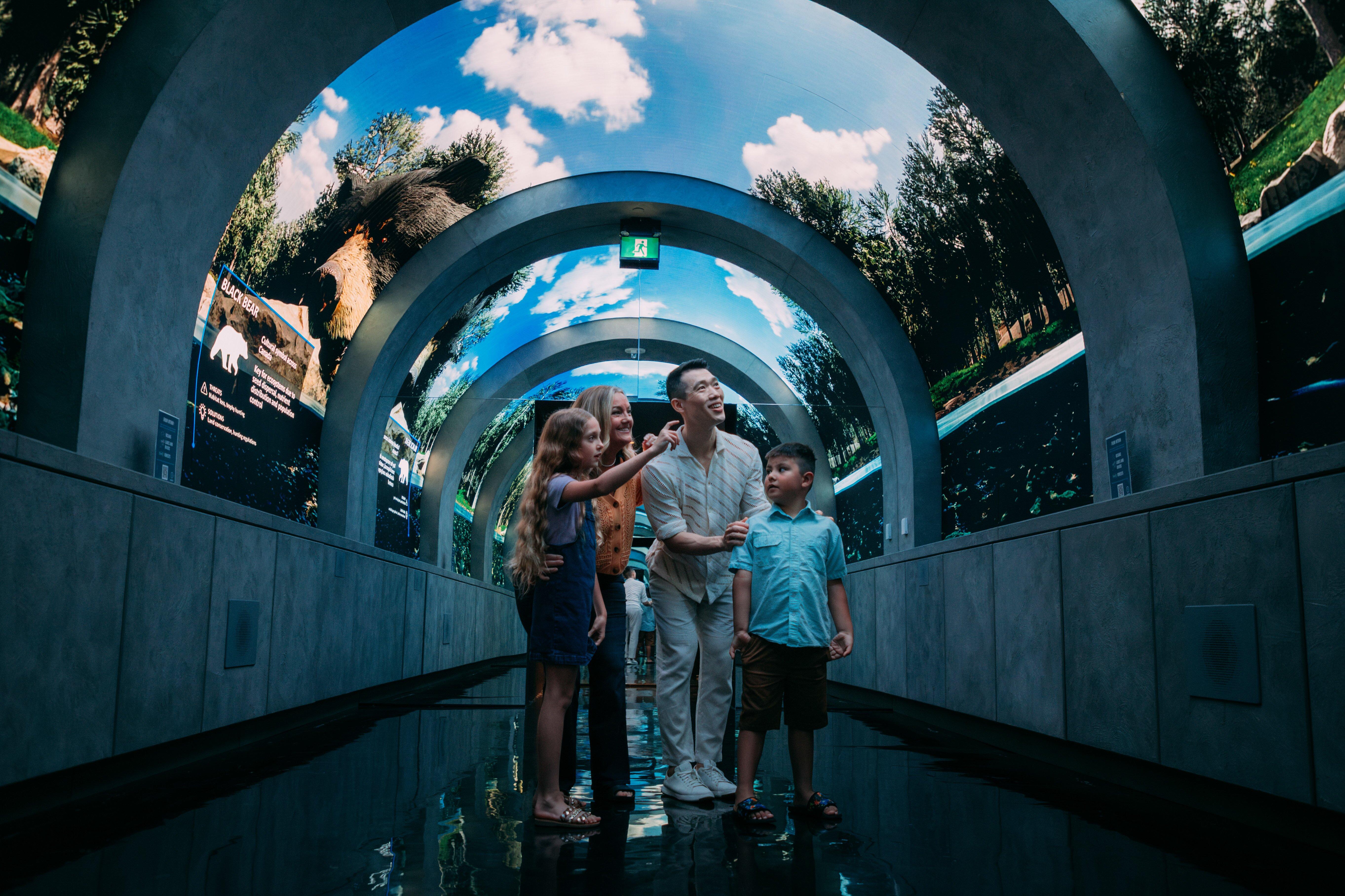 Arcadia Earth Toronto