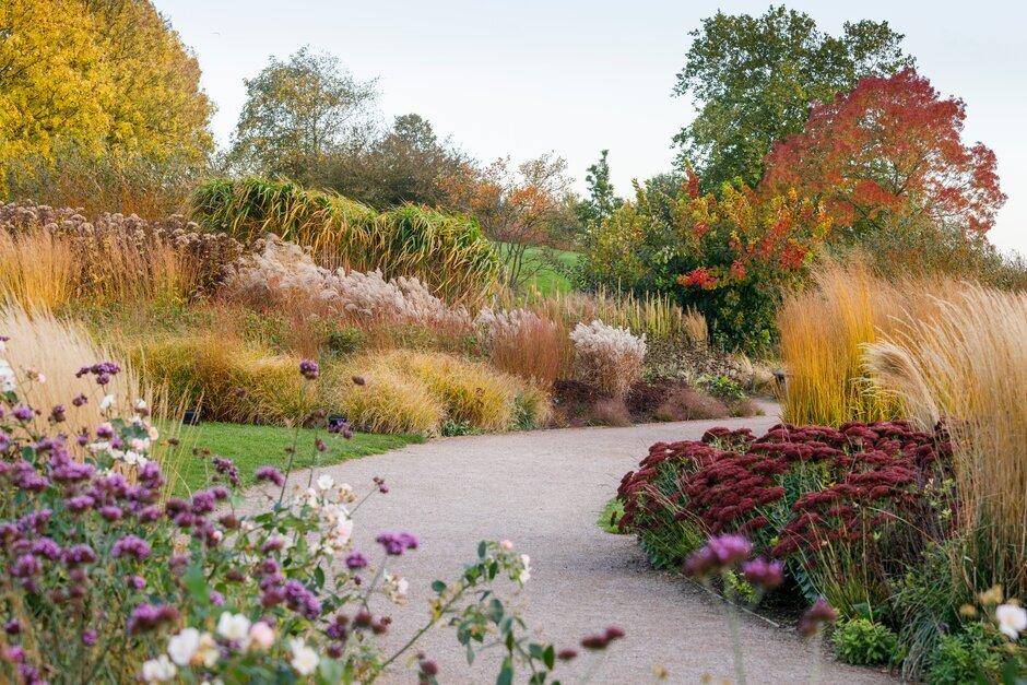 RHS Garden Hyde Hall