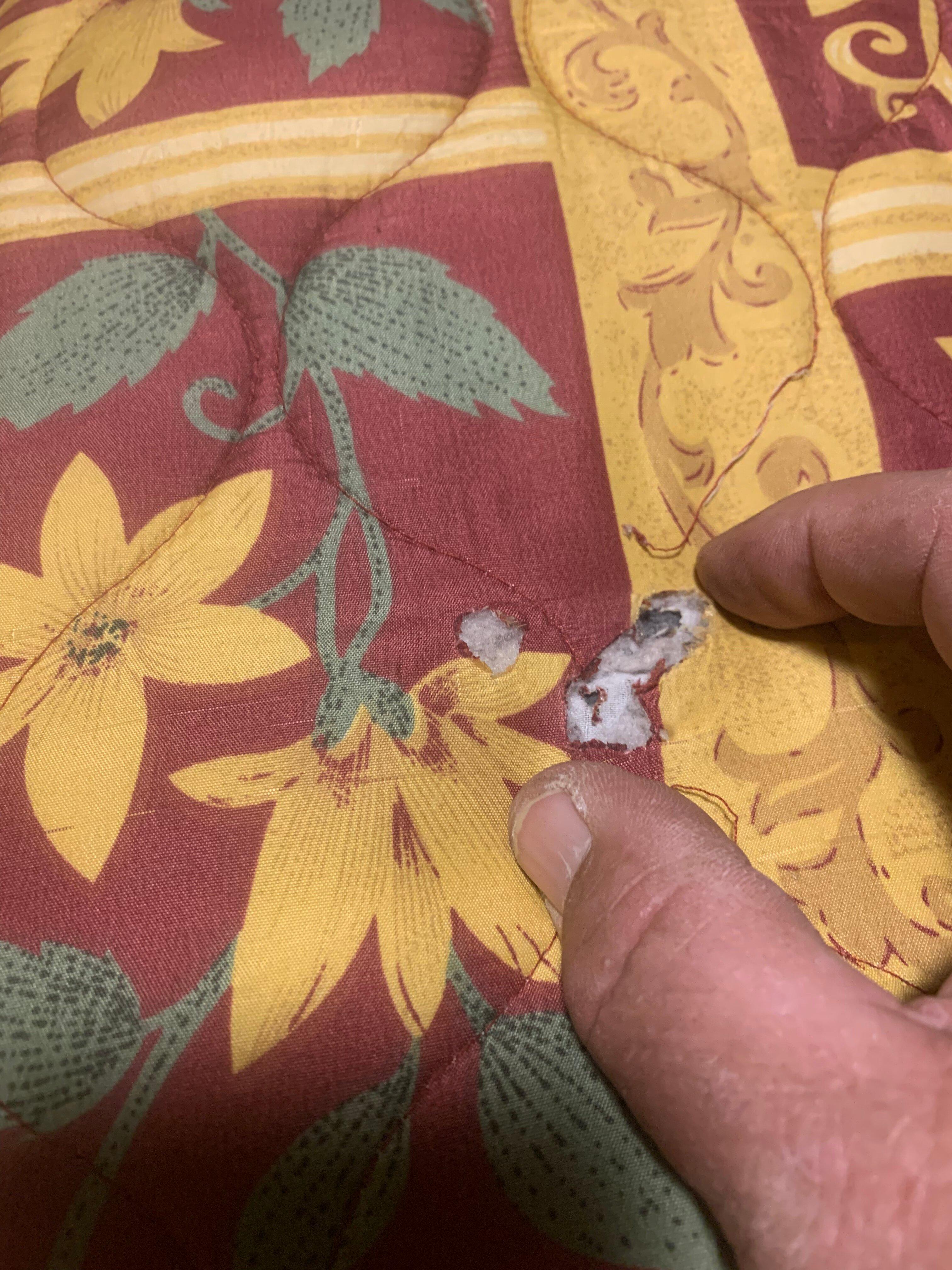 Plymouth Motor Lodge