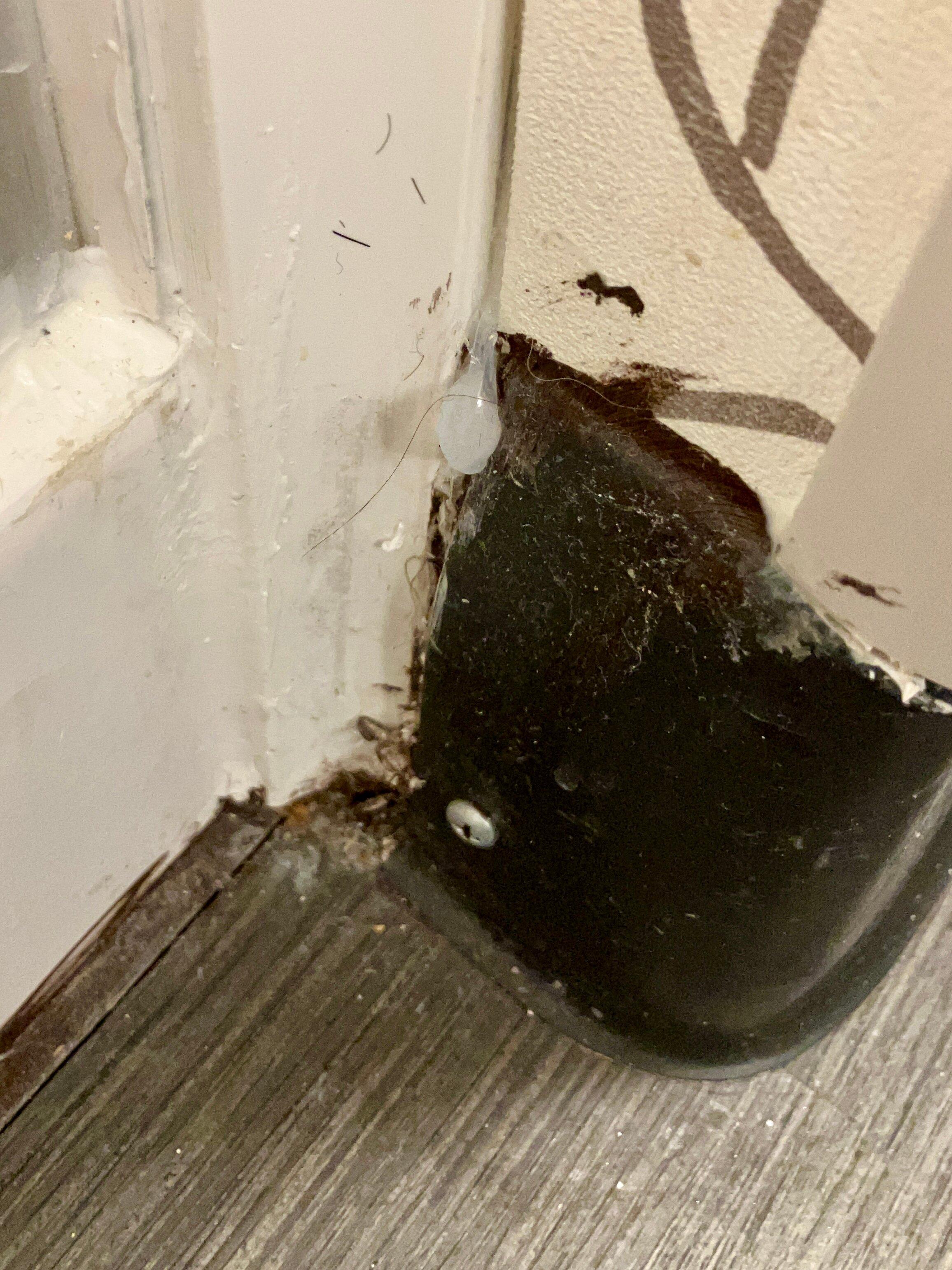 Holiday Inn Clarksville Northeast, an IHG hotel