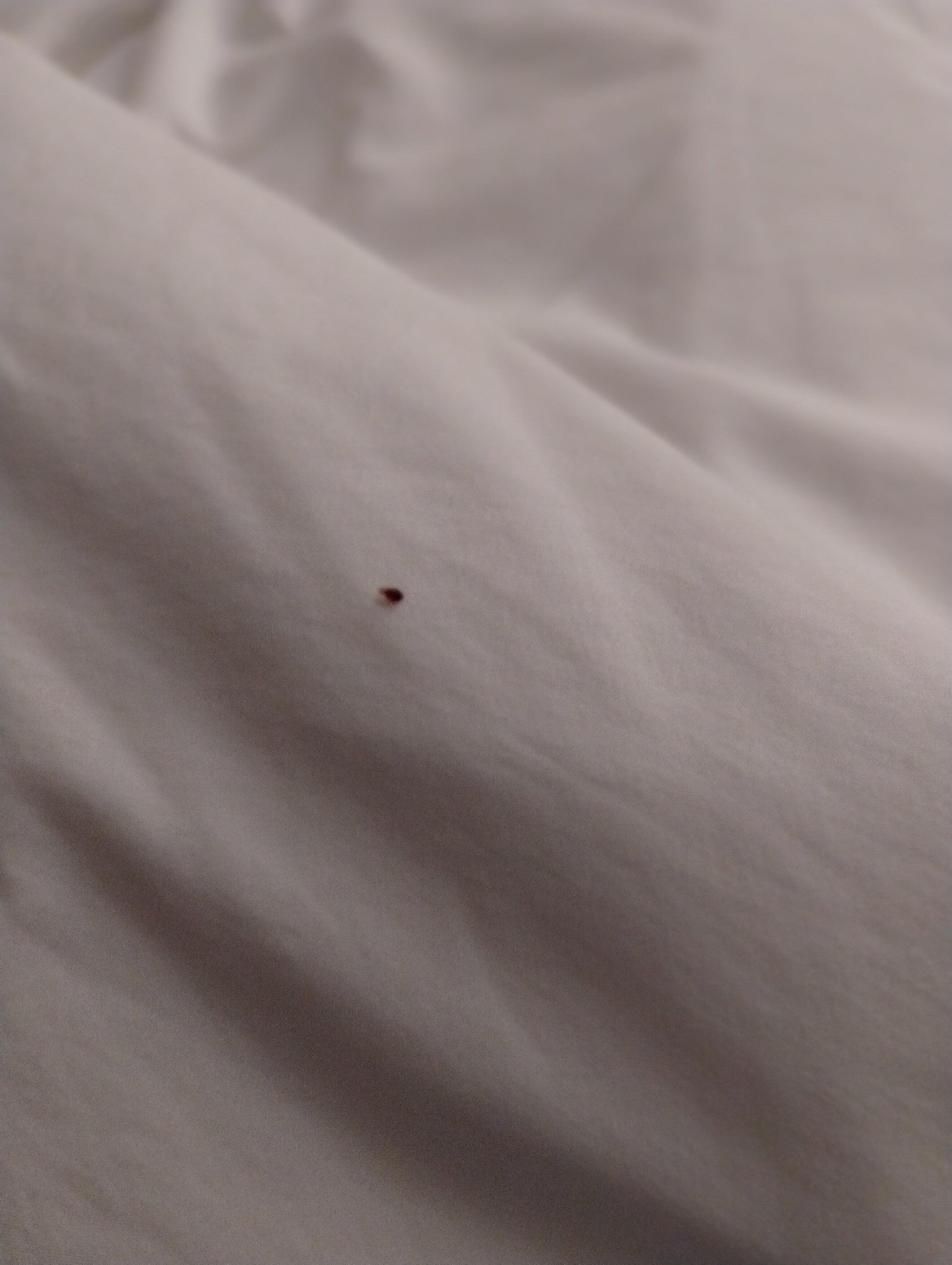 Quality Inn West Lafayette-University Area