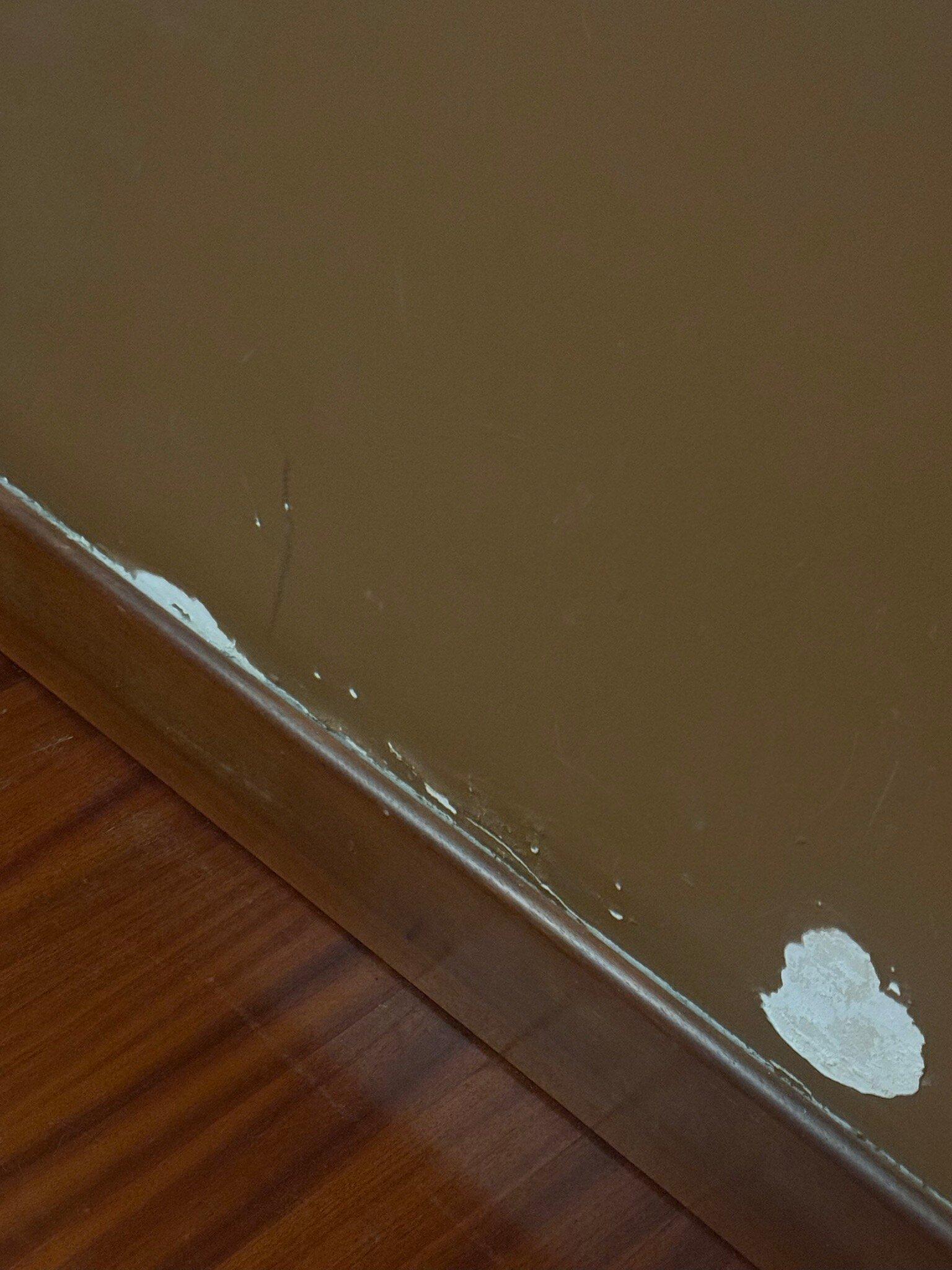 Zebra Naviglio Foresteria Lombarda