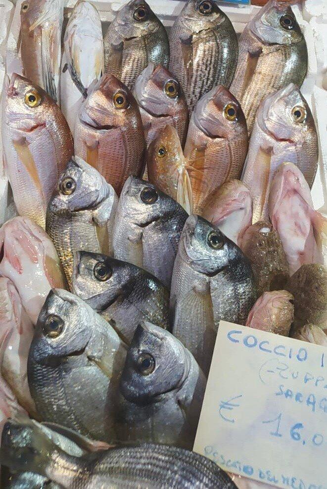 Mercato del Pesce al Minuto