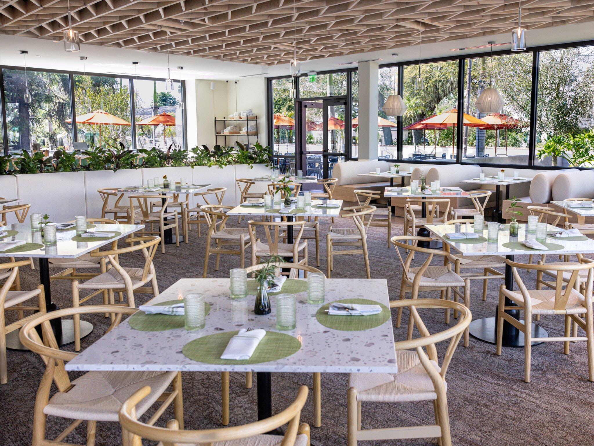 The Green Orchid by Michael's On East